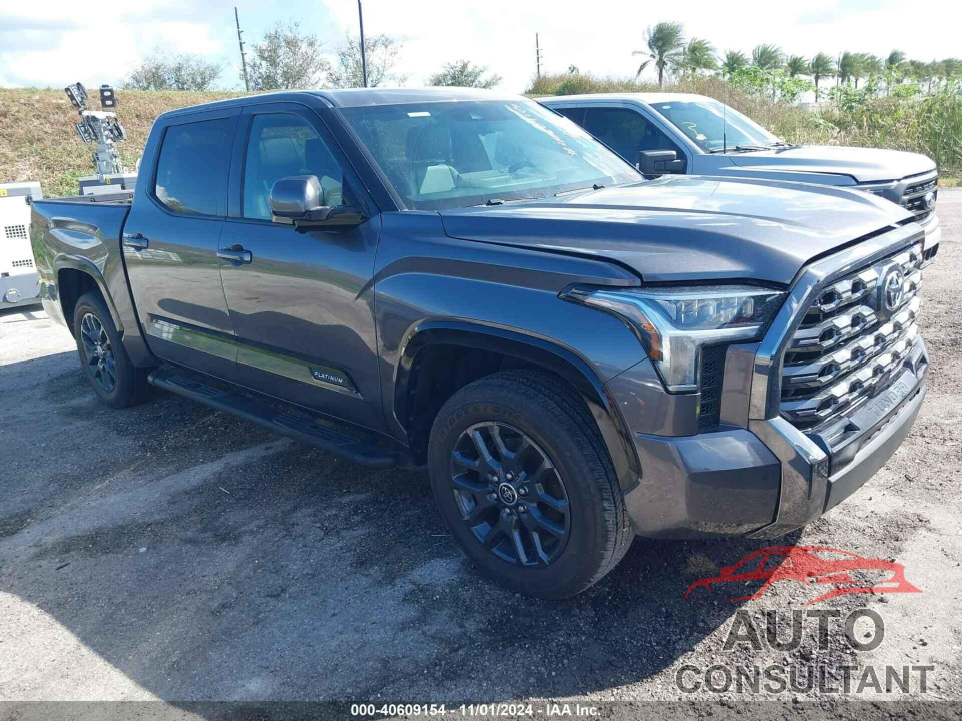 TOYOTA TUNDRA 2022 - 5TFNA5AB6NX016895