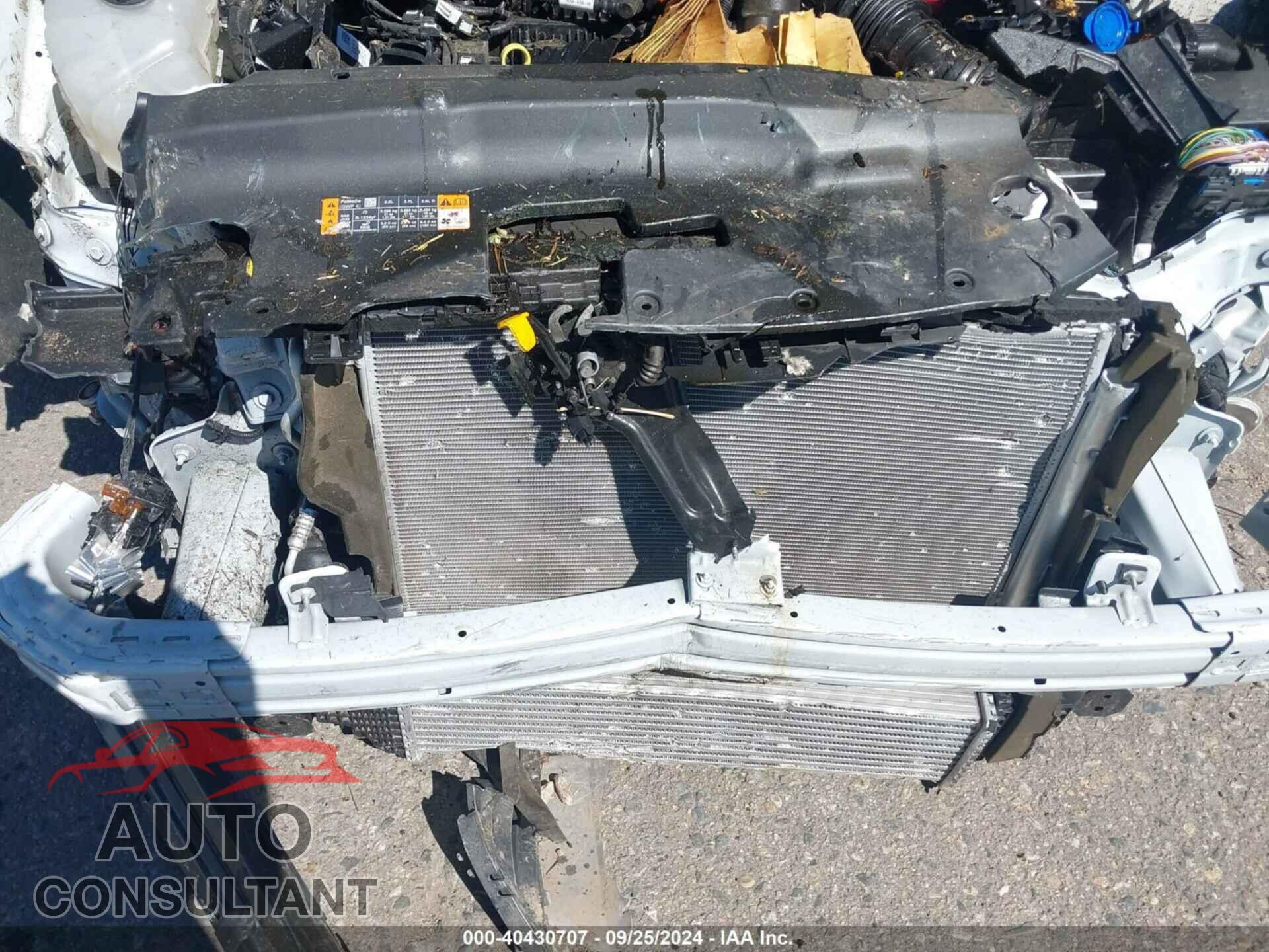 FORD EDGE 2024 - 2FMPK4J92RBA85685
