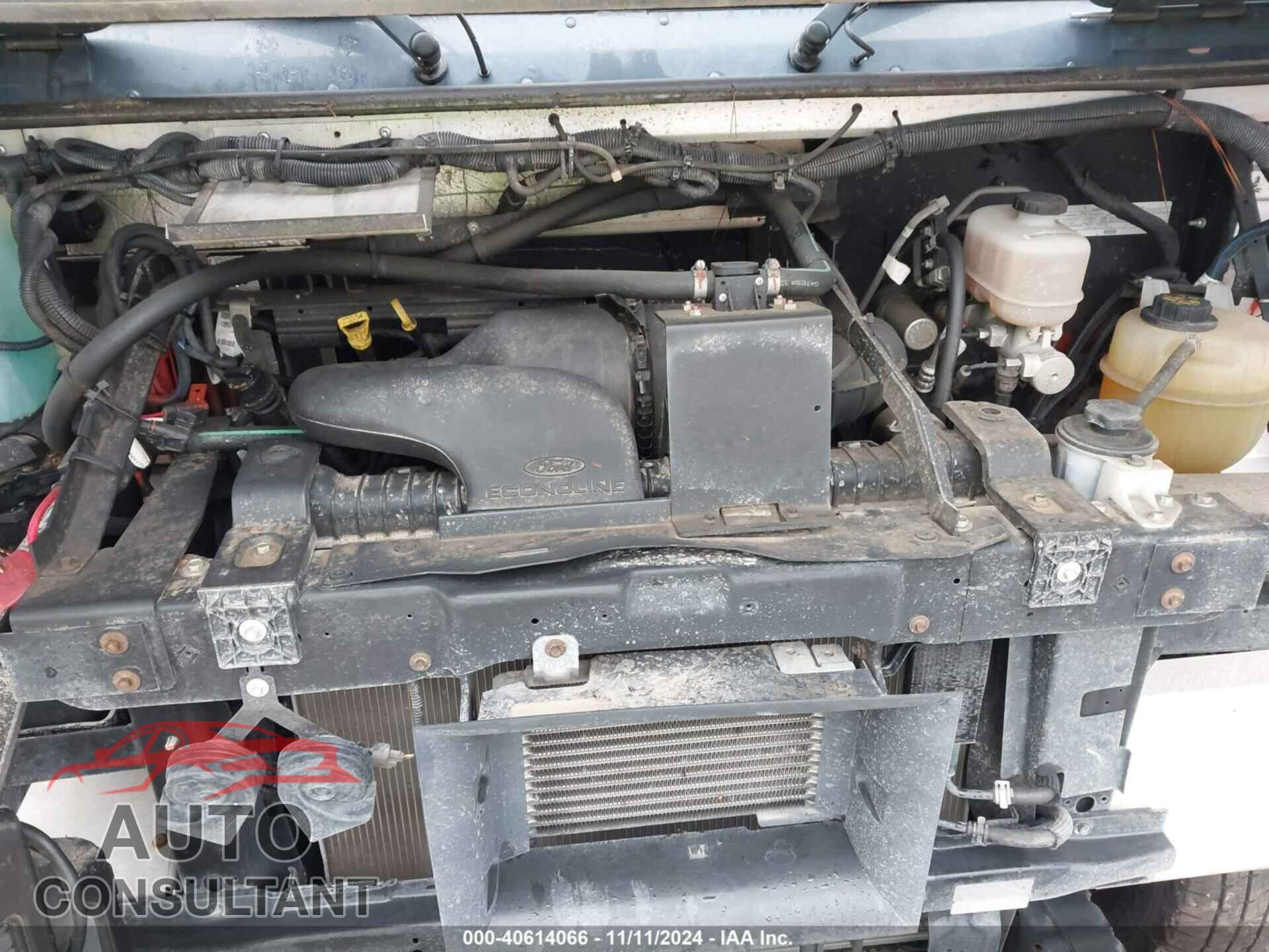 FORD E-450 STRIPPED 2019 - 1FC3E4K69KDC51828