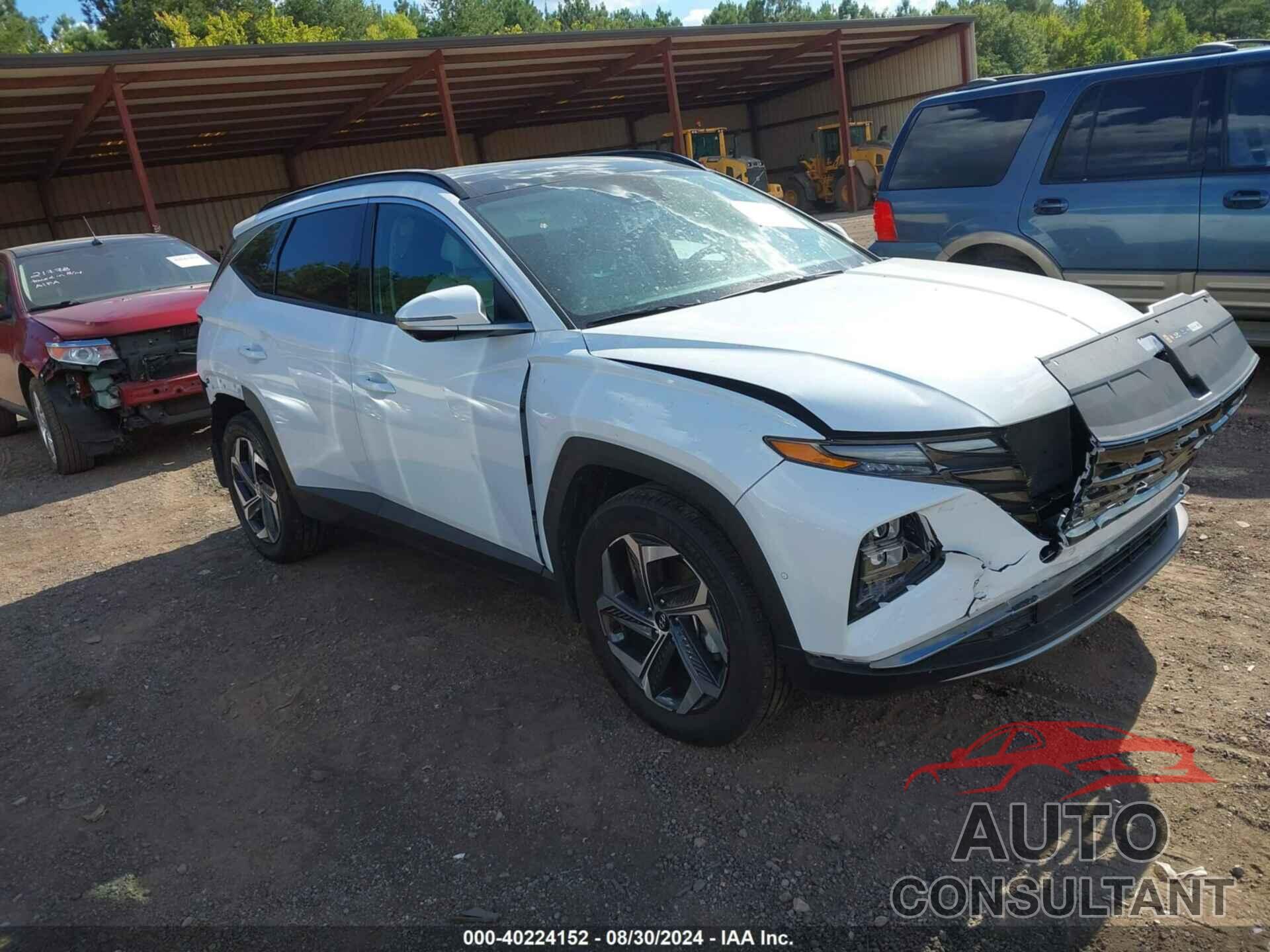 HYUNDAI TUCSON HYBRID 2023 - KM8JECA19PU105908