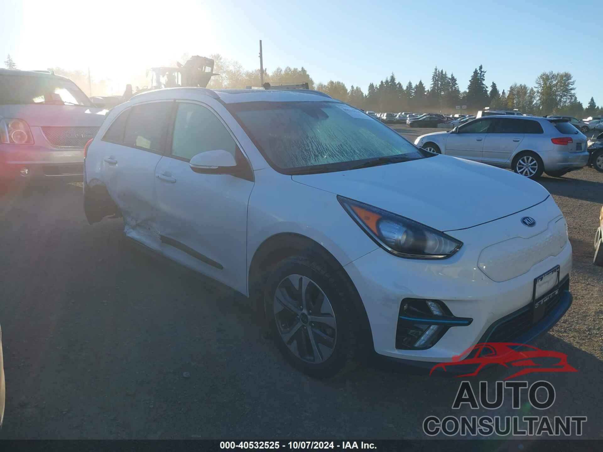 KIA NIRO EV 2019 - KNDCE3LG5K5017892