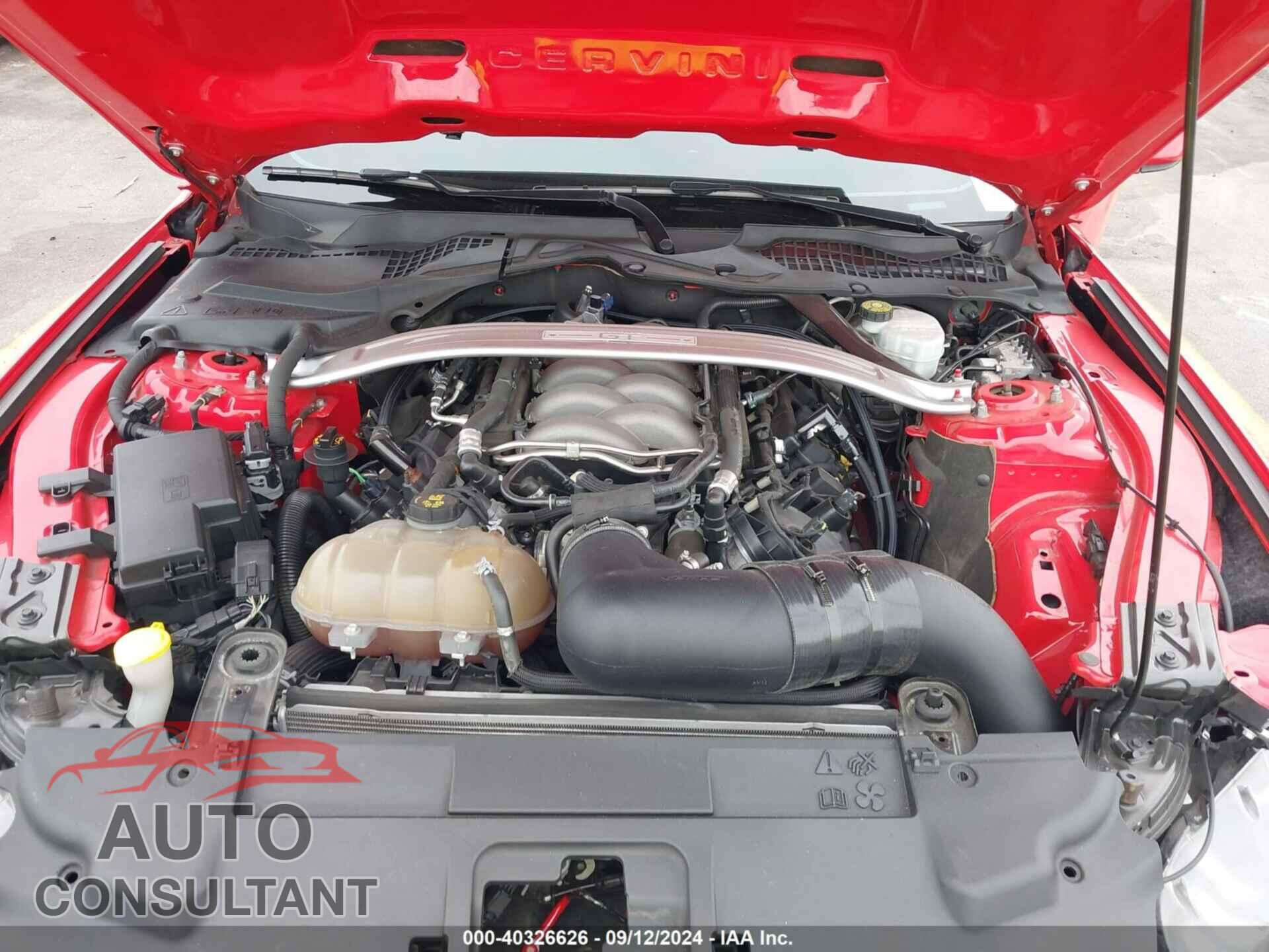 FORD MUSTANG 2019 - 1FA6P8CF4K5146708