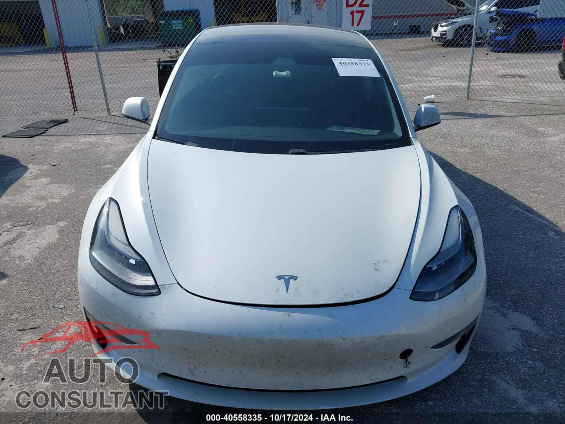 TESLA MODEL 3 2021 - 5YJ3E1EA2MF921195