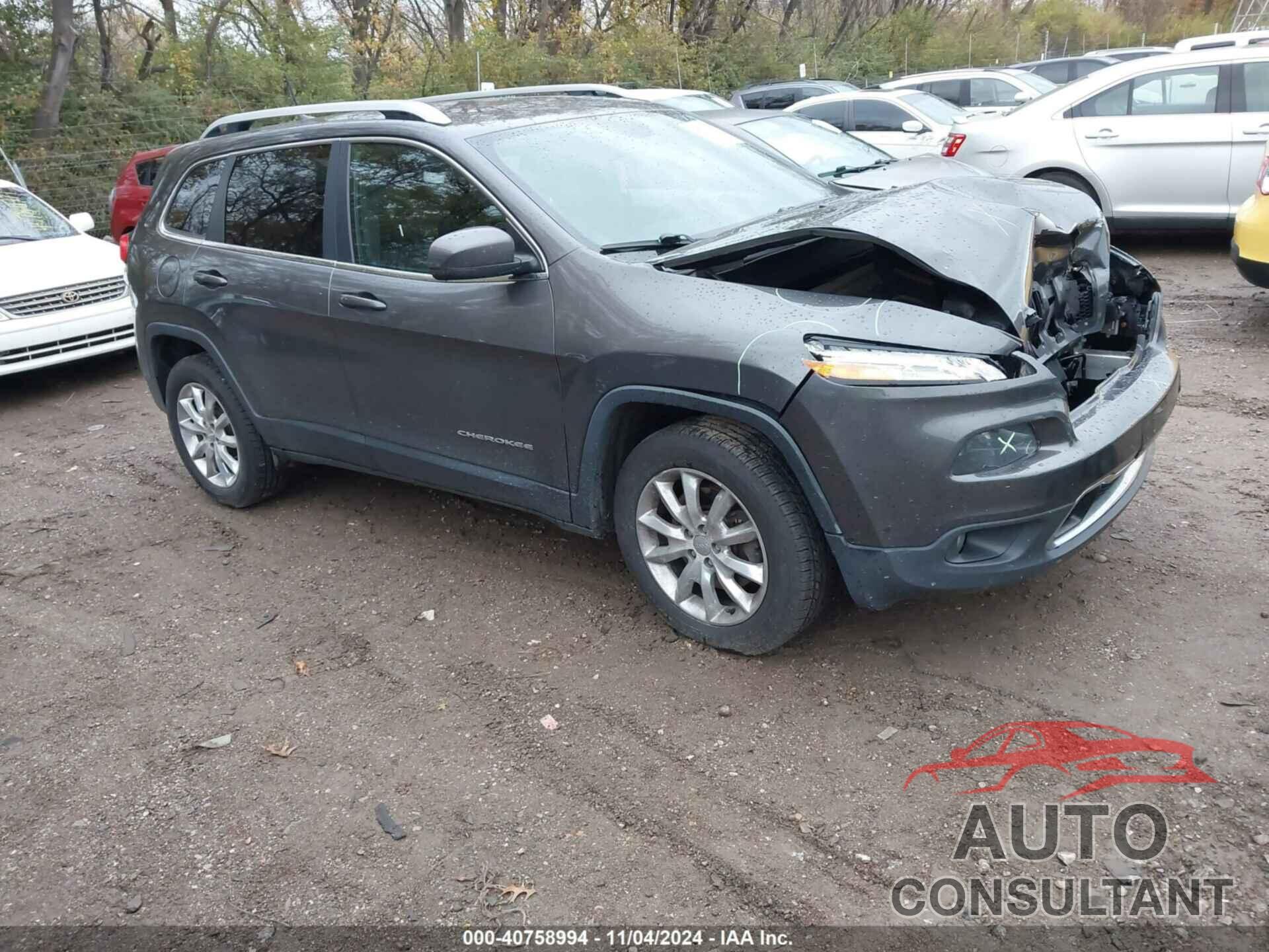 JEEP CHEROKEE 2017 - 1C4PJMDB3HW511502