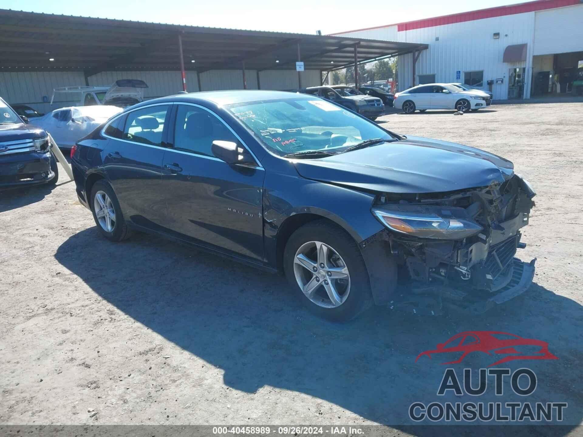 CHEVROLET MALIBU 2019 - 1G1ZB5ST9KF193280
