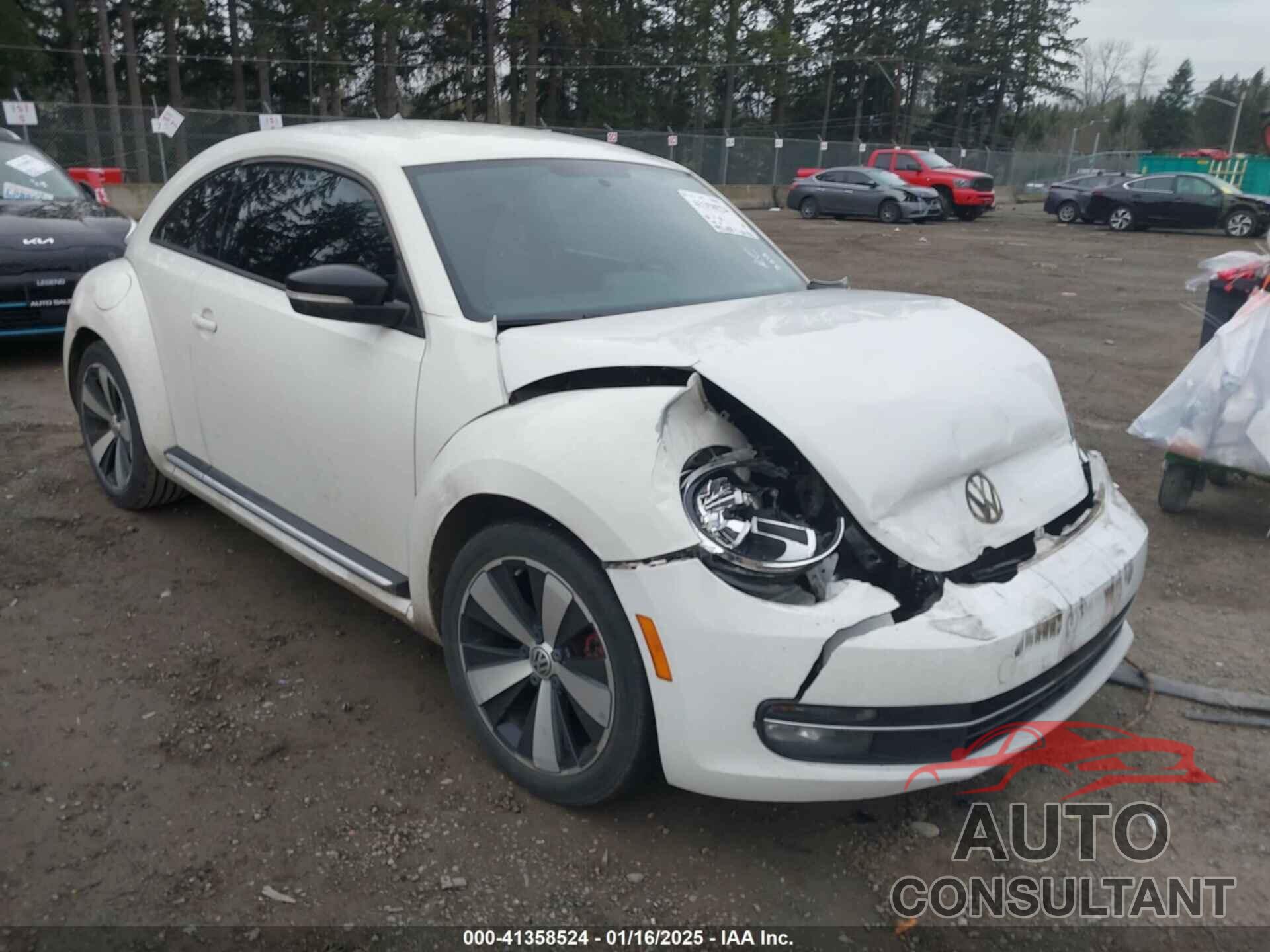 VOLKSWAGEN BEETLE 2012 - 3VW467AT9CM642829