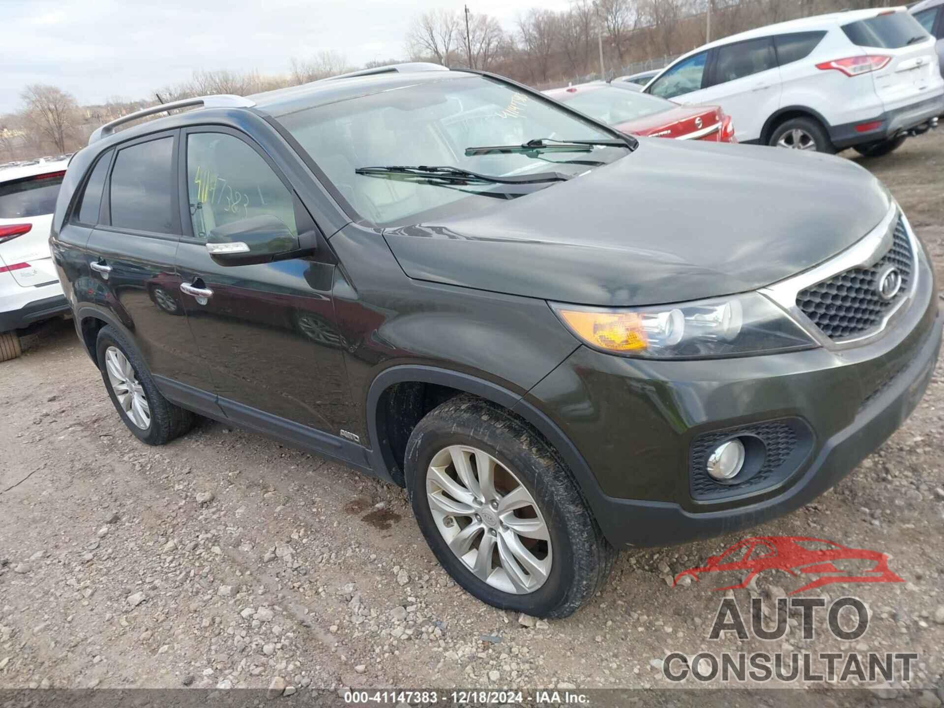 KIA SORENTO 2011 - 5XYKUCA16BG142016