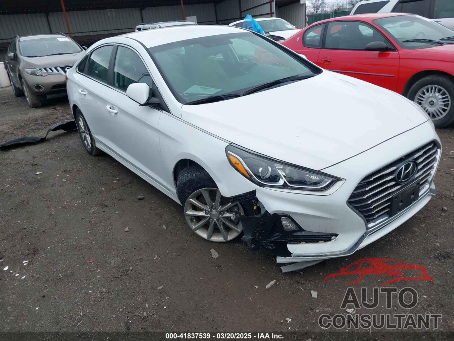 HYUNDAI SONATA 2019 - 5NPE24AFXKH730983
