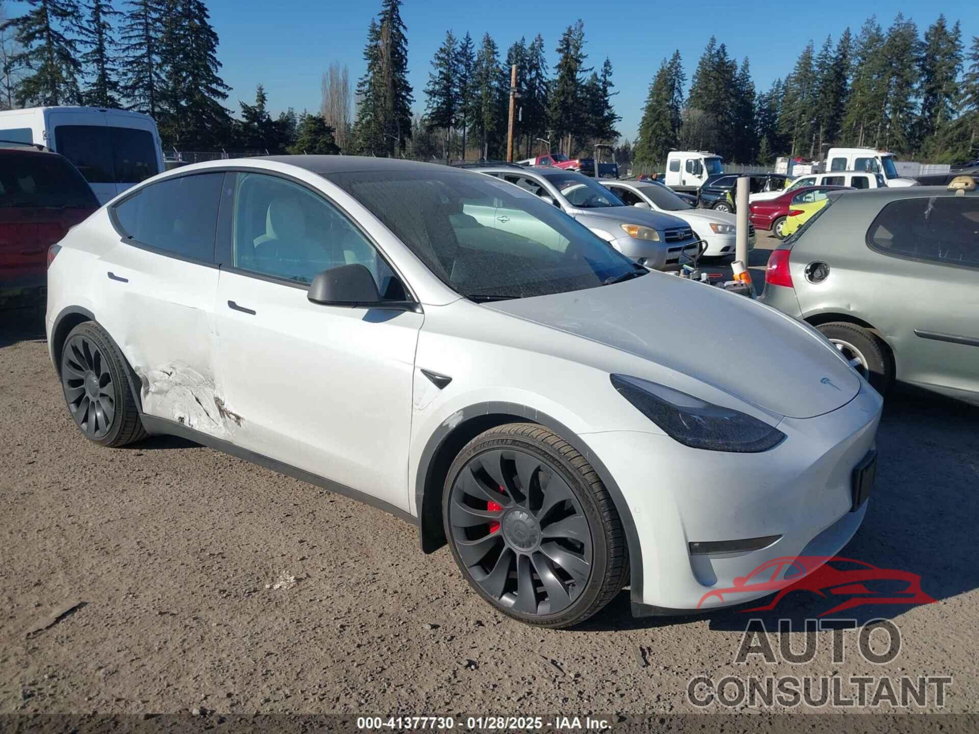 TESLA MODEL Y 2022 - 7SAYGDEF8NF405344