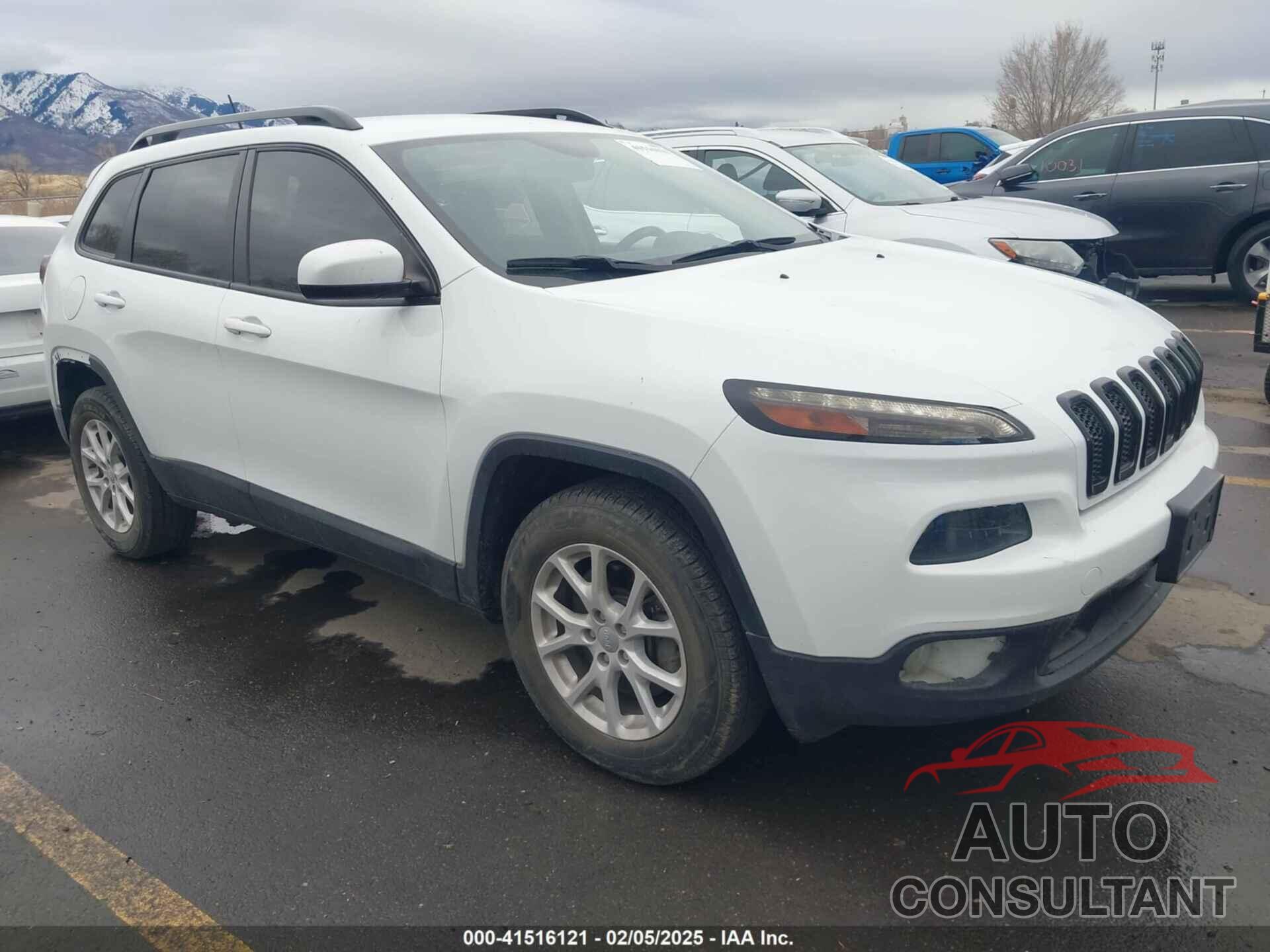 JEEP CHEROKEE 2014 - 1C4PJMCS8EW317366