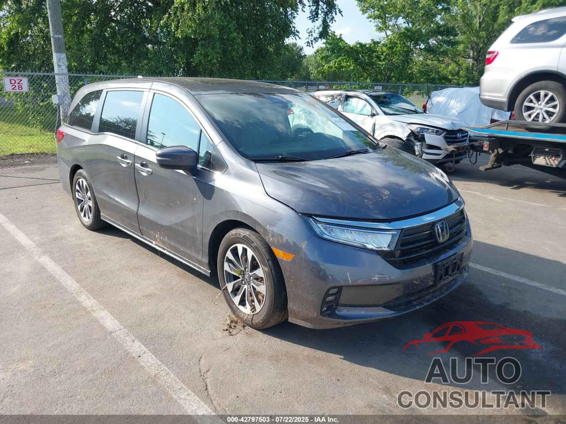 HONDA ODYSSEY 2023 - 5FNRL6H65PB050298