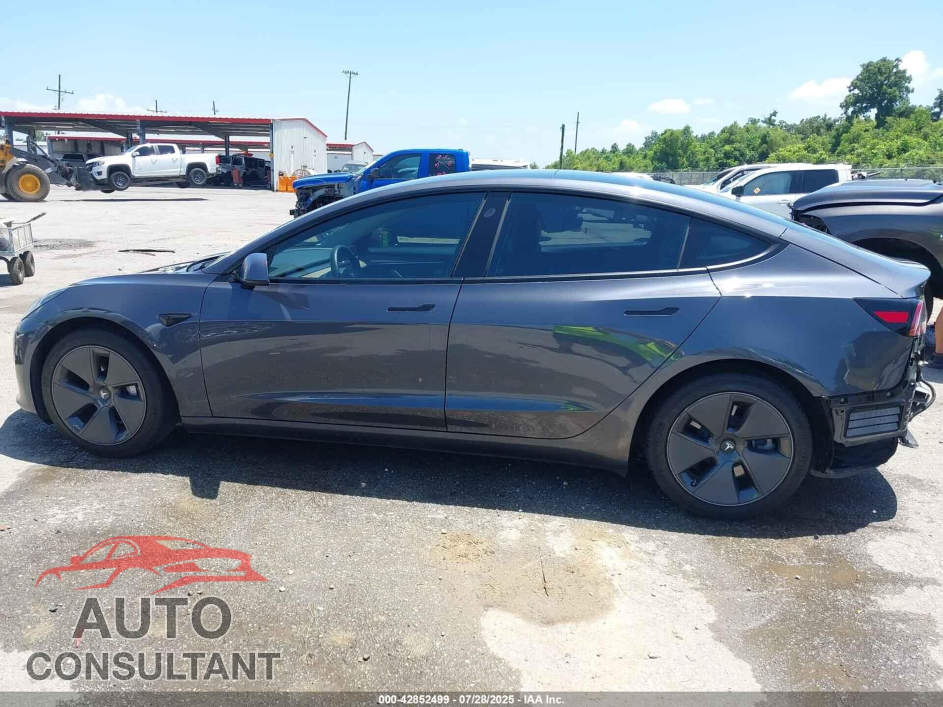 TESLA MODEL 3 2021 - 5YJ3E1EA5MF969029
