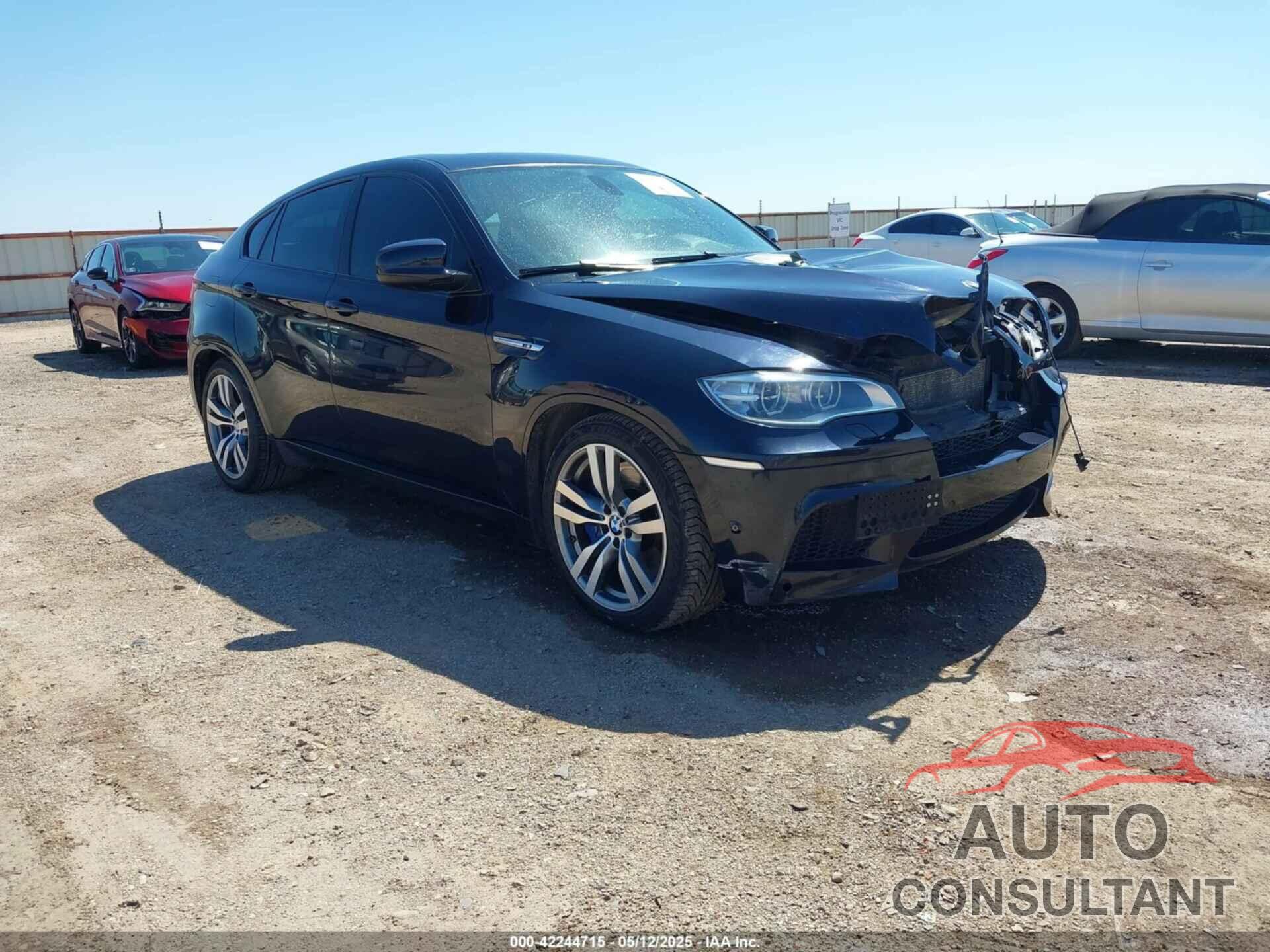 BMW X6 M 2013 - 5YMGZ0C58DLL30007