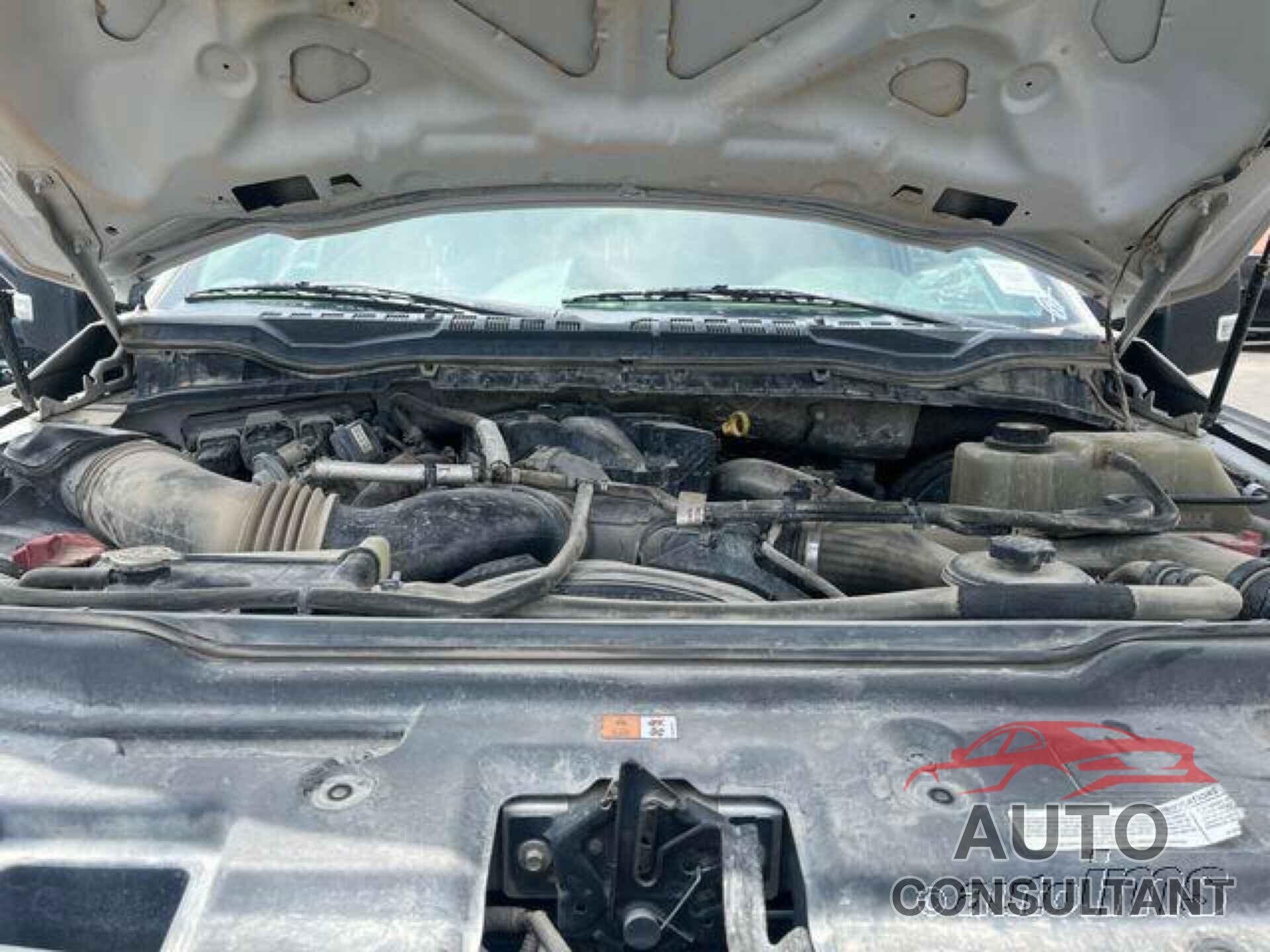 FORD F250 2019 - 1FT7W2BT4KED31475