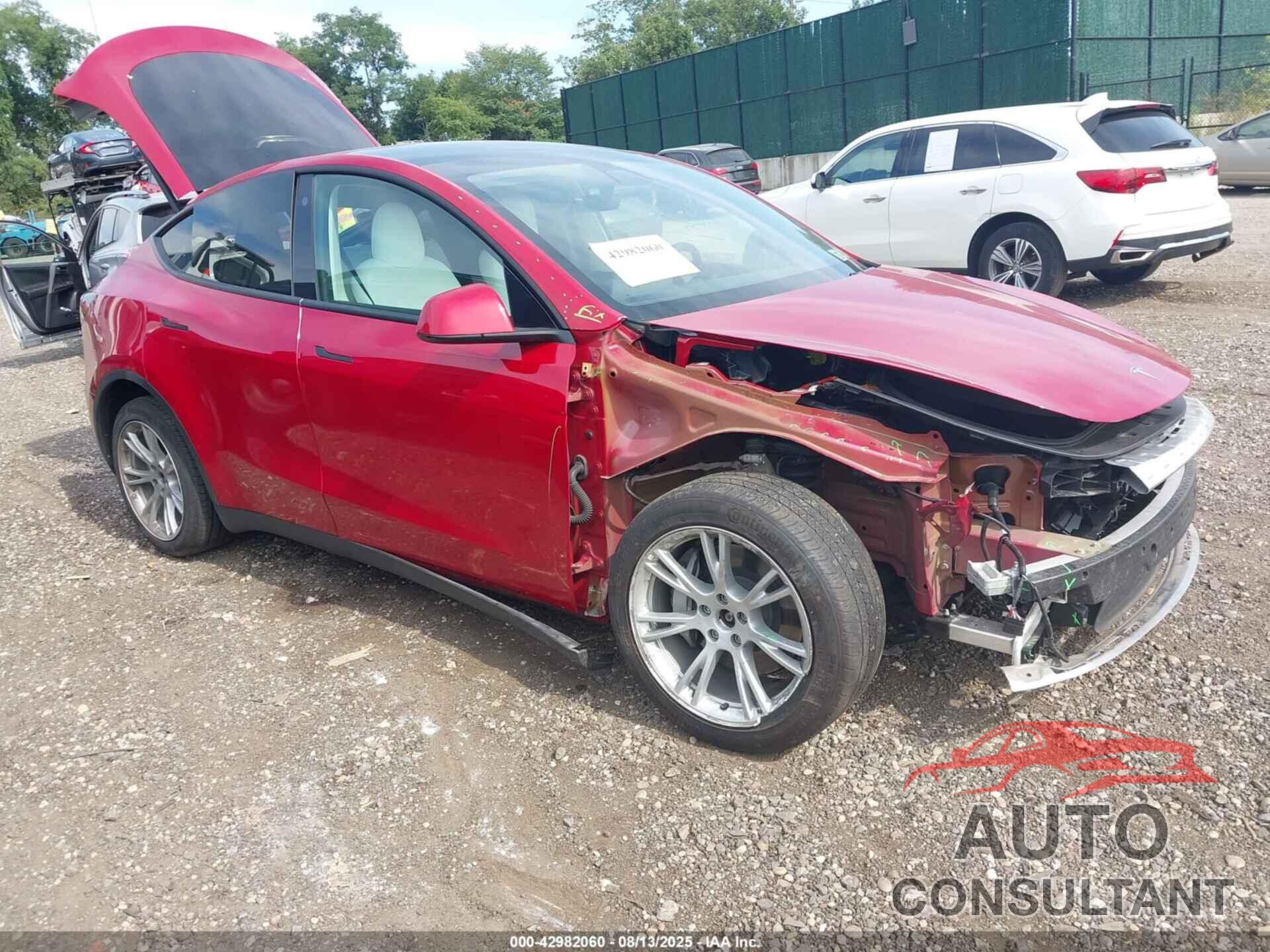 TESLA MODEL Y 2022 - 7SAYGAEE3NF484623