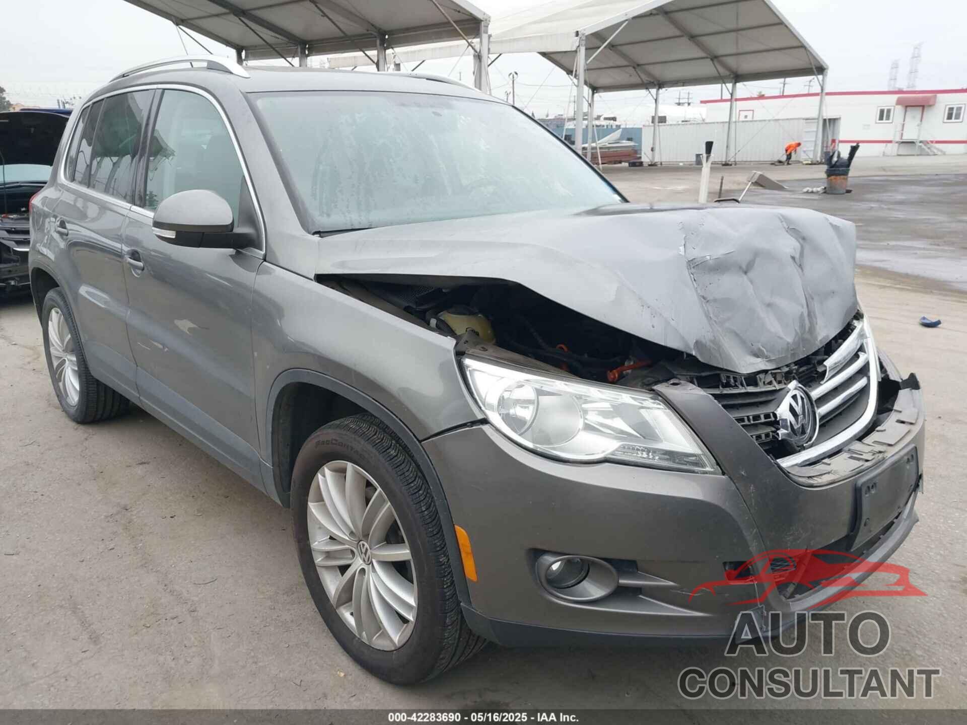 VOLKSWAGEN TIGUAN 2009 - WVGBV95N89W537711