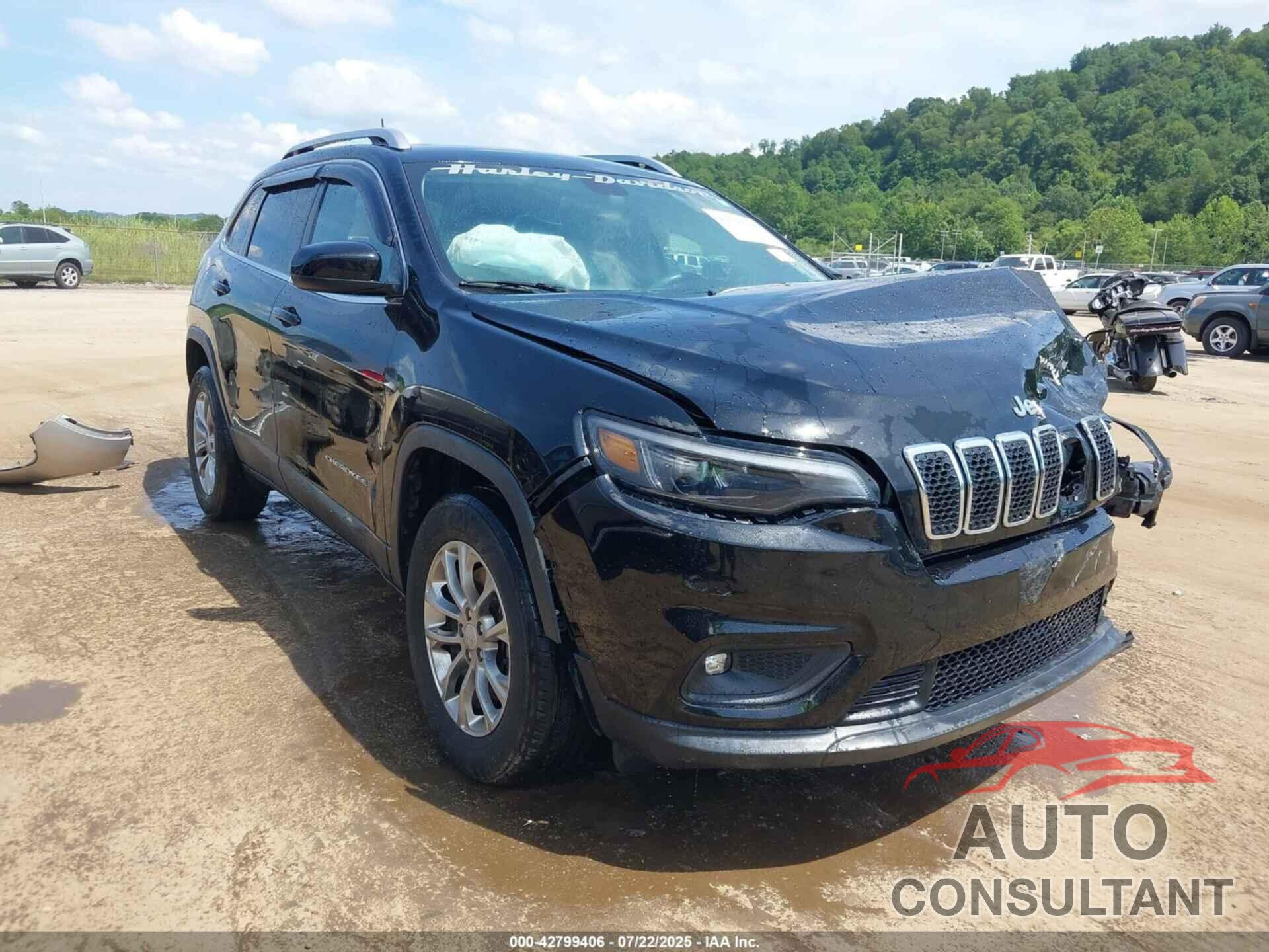 JEEP CHEROKEE 2019 - 1C4PJMLB4KD122064