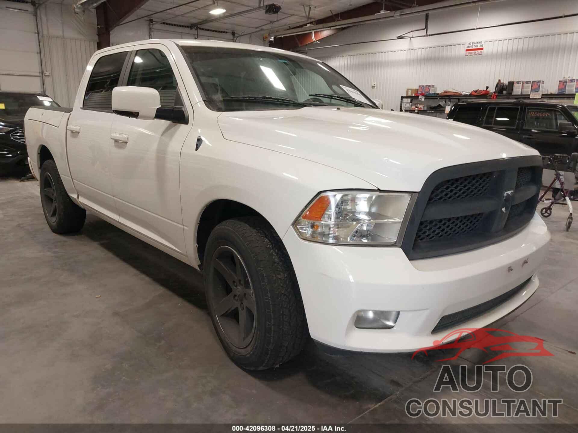 DODGE RAM 1500 2009 - 1D3HB13T39J521768