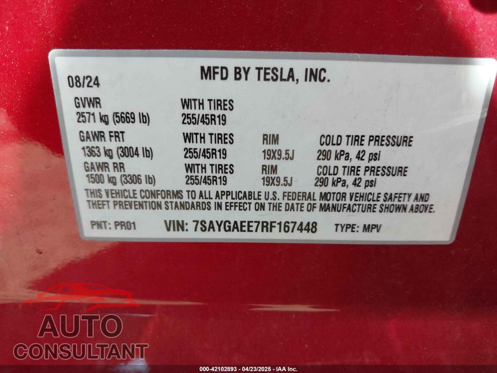 TESLA MODEL Y 2024 - 7SAYGAEE7RF167448