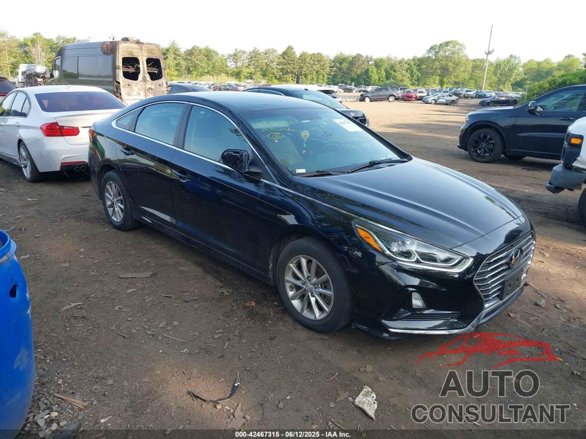 HYUNDAI SONATA 2019 - 5NPE24AF9KH802126