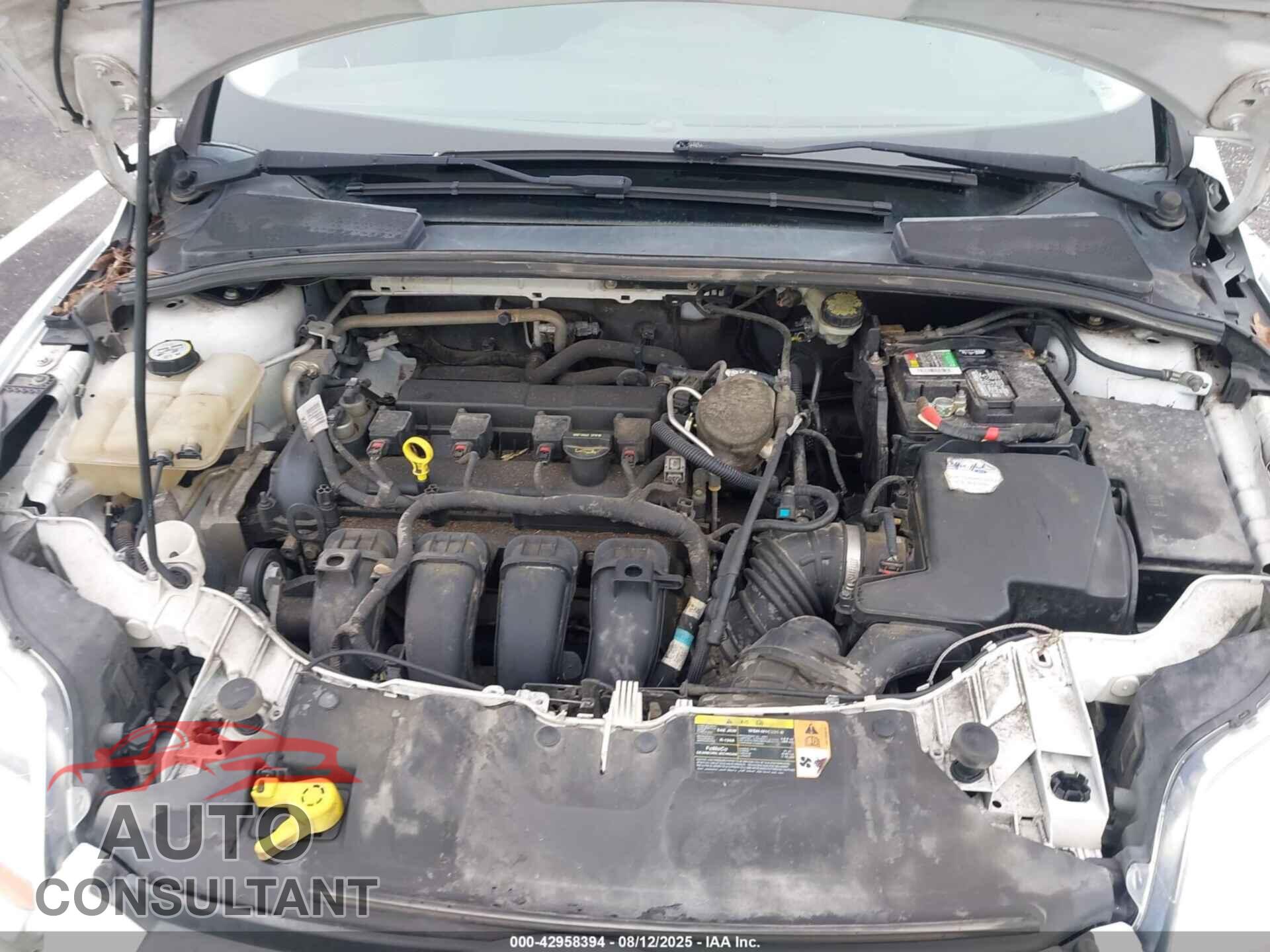 FORD FOCUS 2013 - 1FADP3F21DL307002
