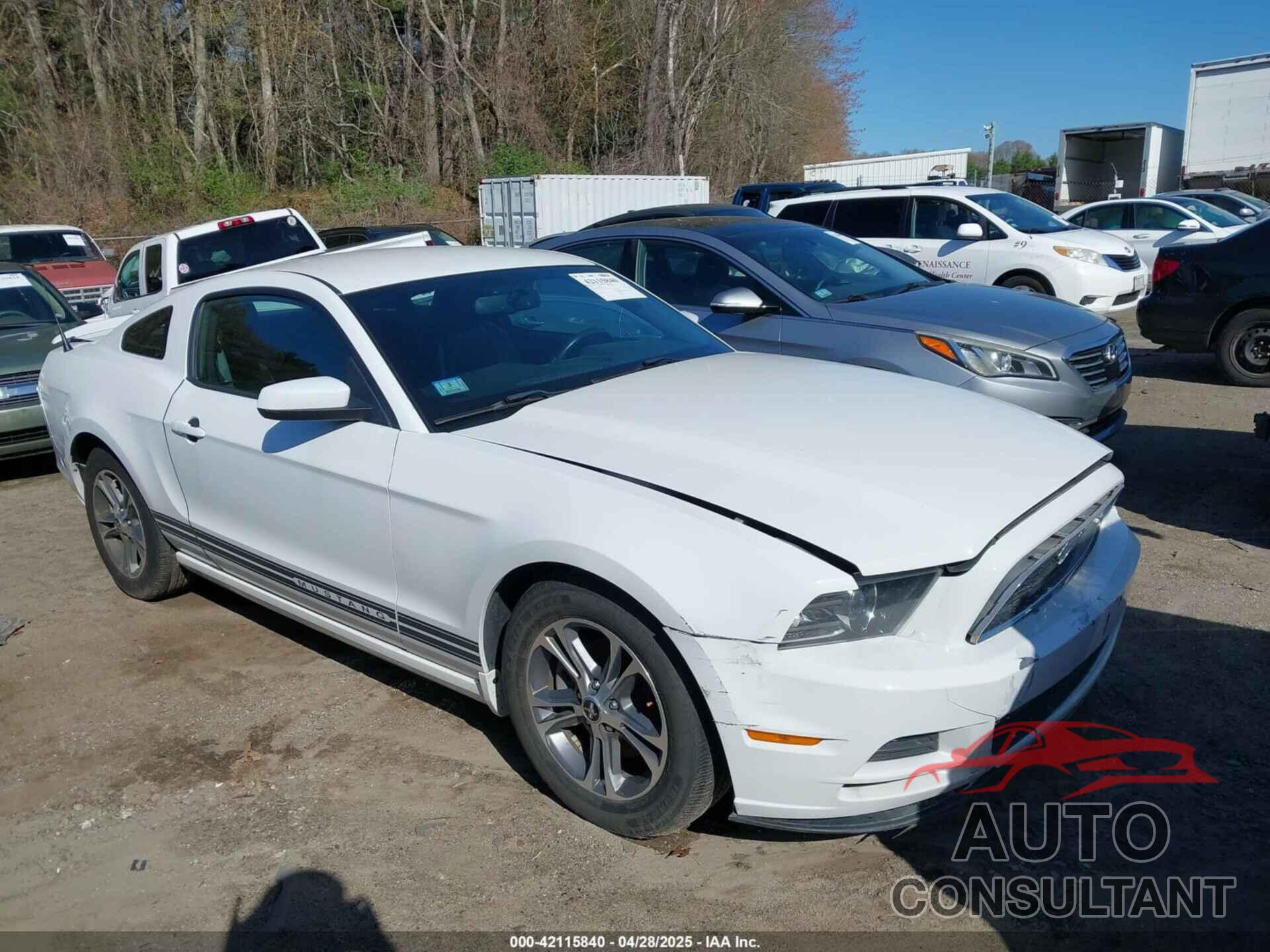 FORD MUSTANG 2014 - 1ZVBP8AM5E5289789