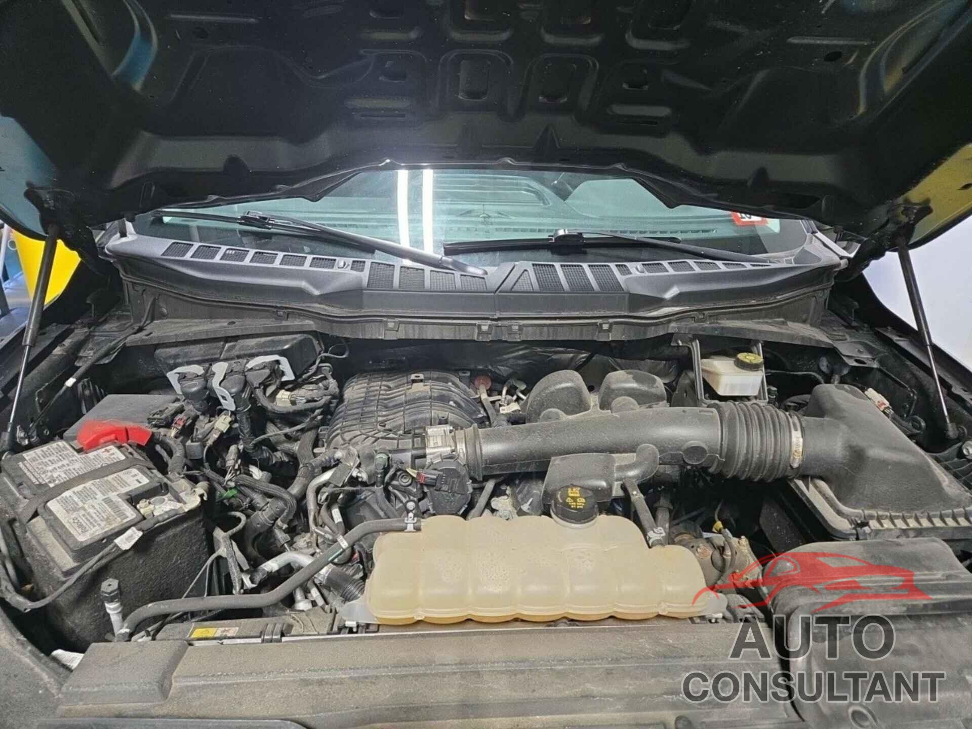 FORD F150 2021 - 1FTEW1EB7MFB96316
