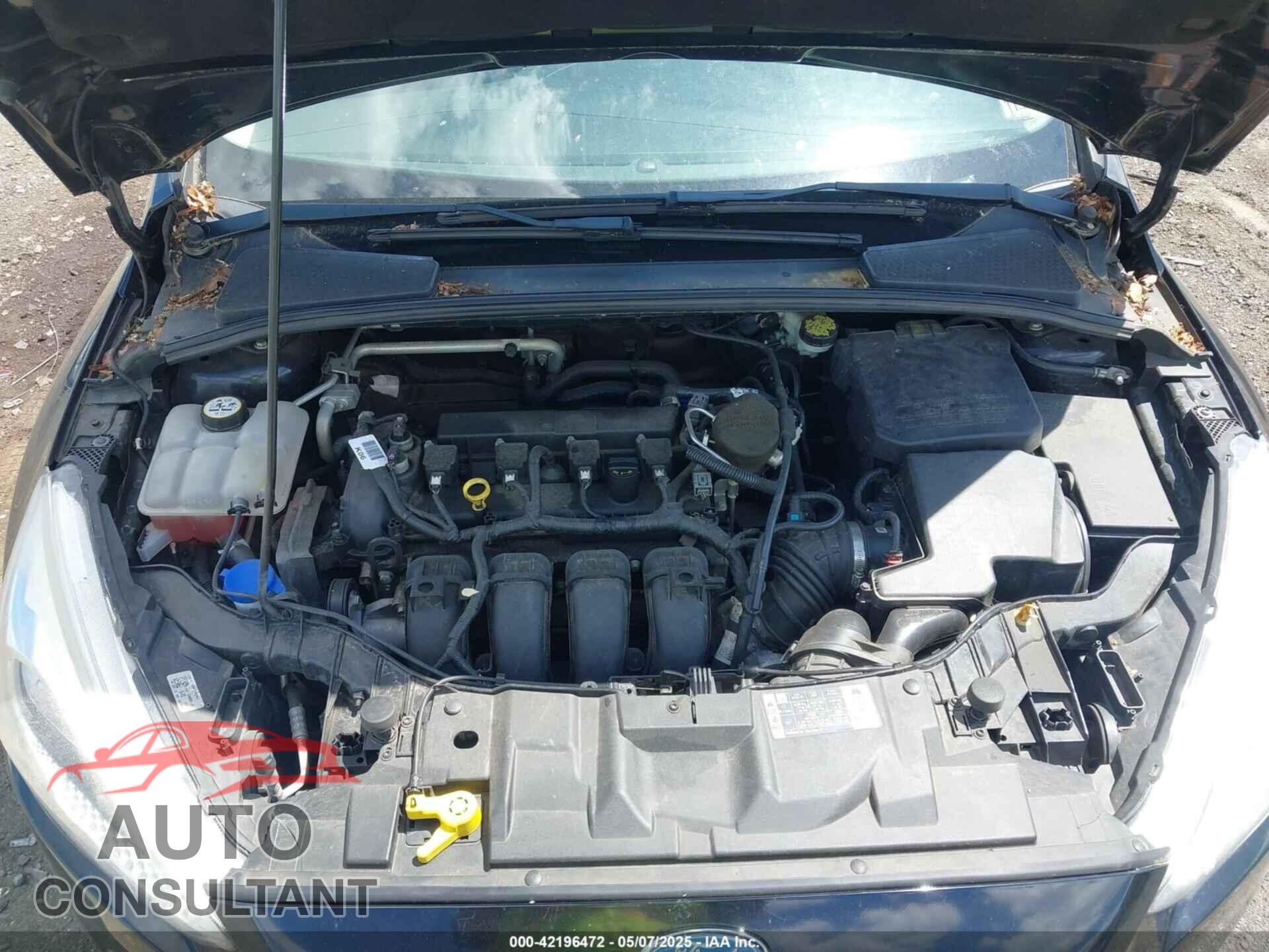FORD FOCUS 2016 - 1FADP3E22GL215418