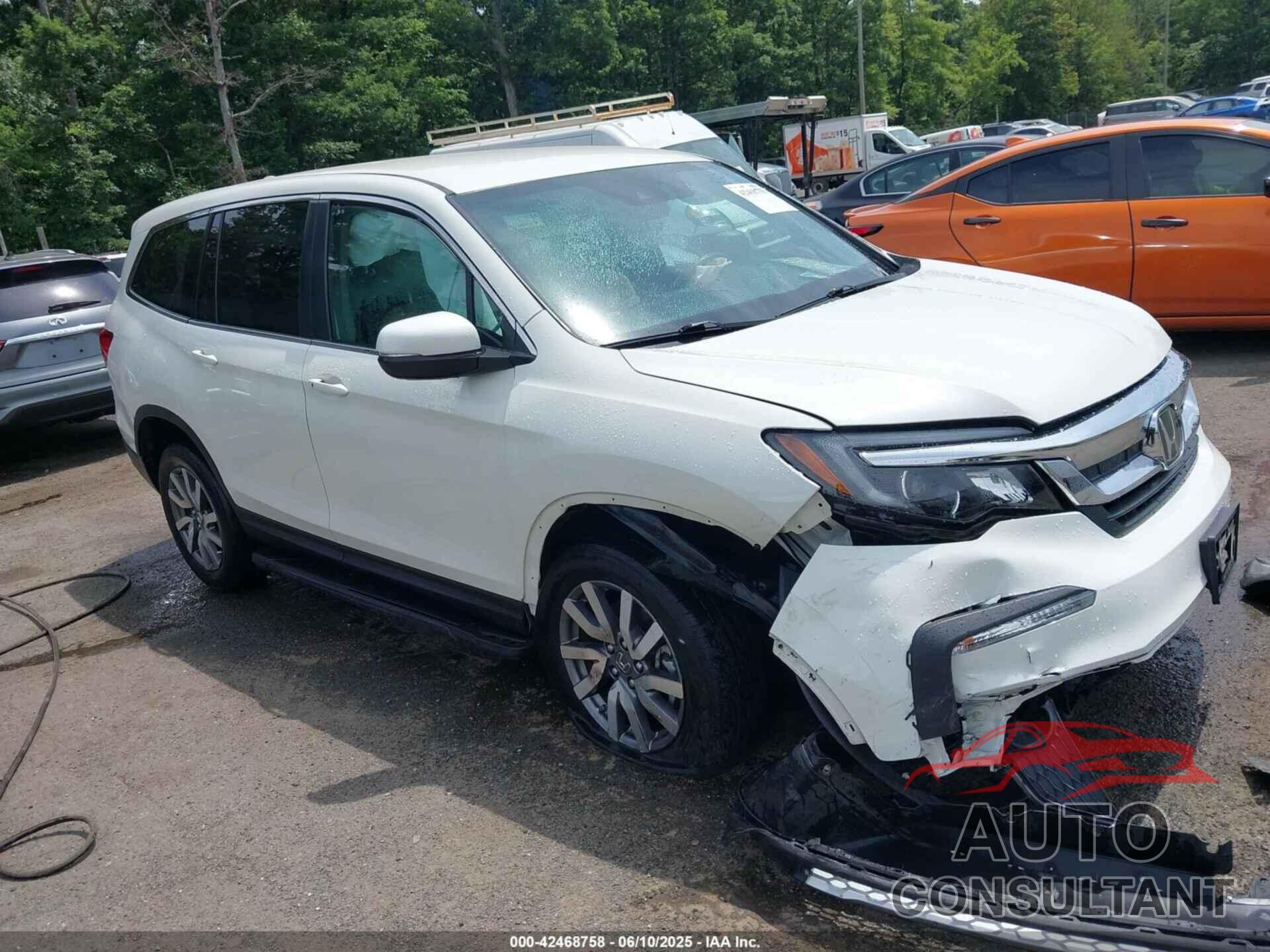 HONDA PILOT 2019 - 5FNYF6H33KB040757
