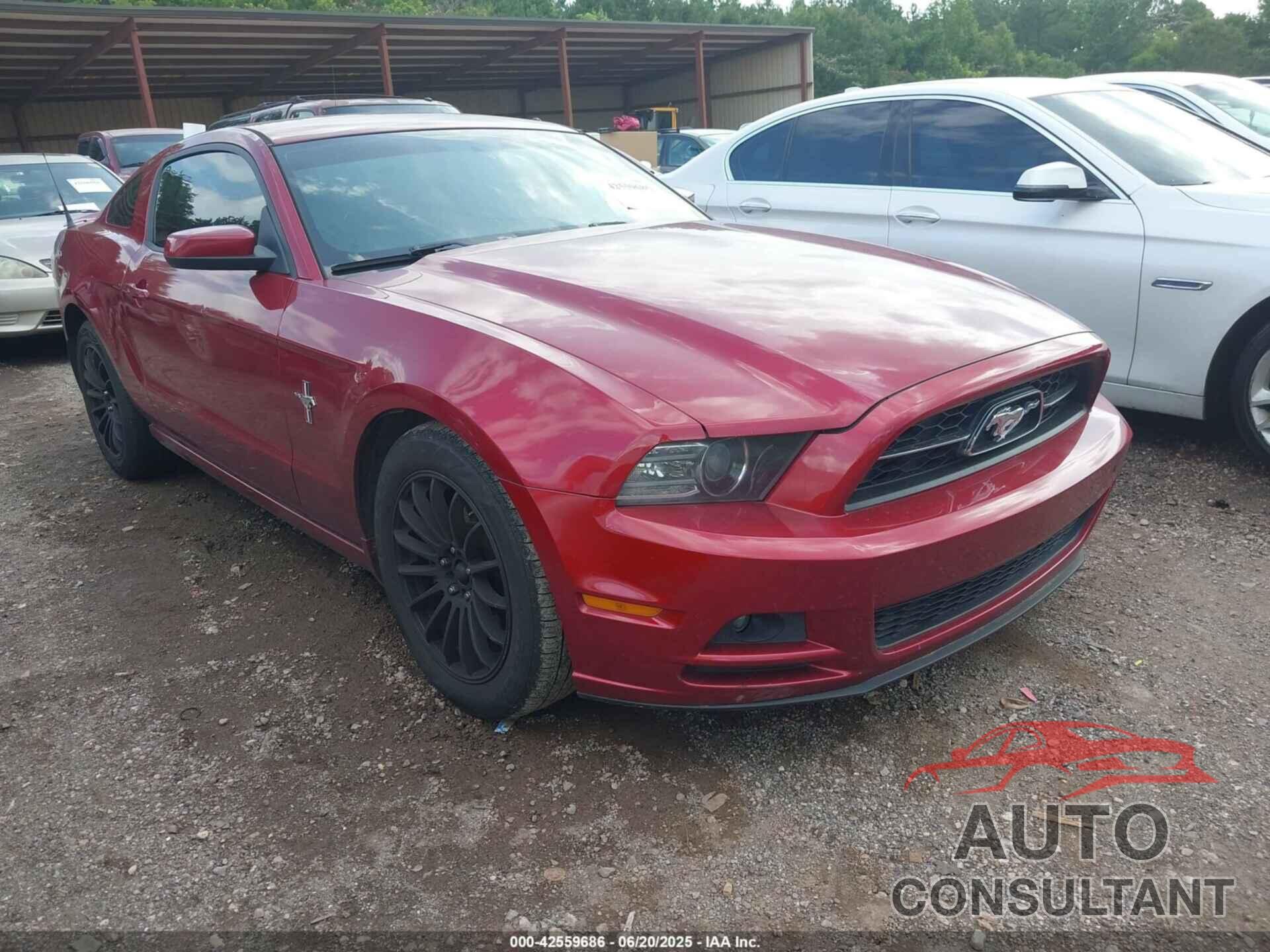 FORD MUSTANG 2014 - 1ZVBP8AM8E5297868