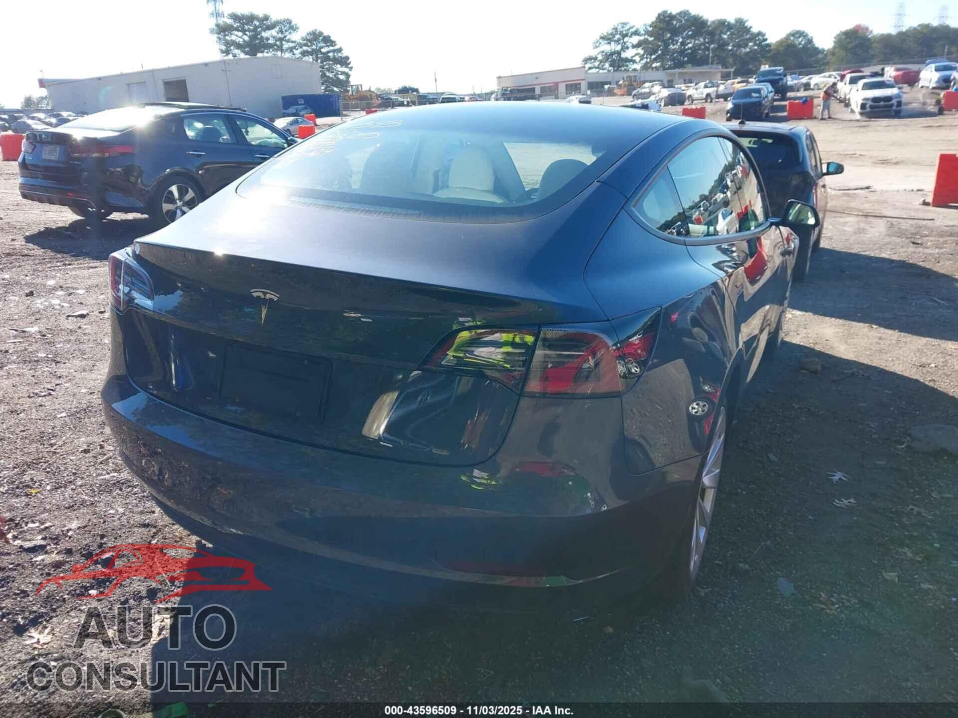 TESLA MODEL 3 2021 - 5YJ3E1EA8MF869975