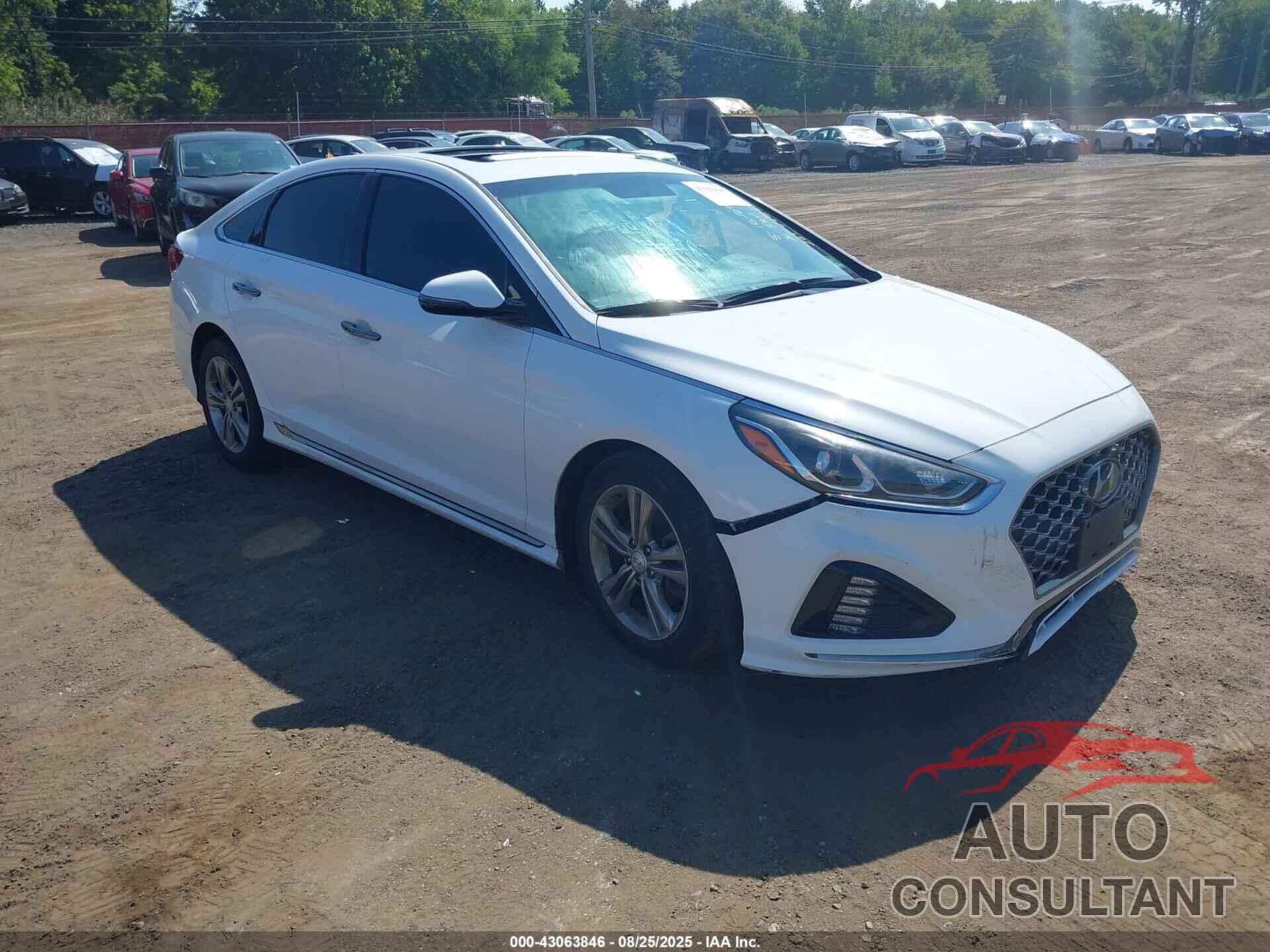 HYUNDAI SONATA 2019 - 5NPE34AF1KH733185