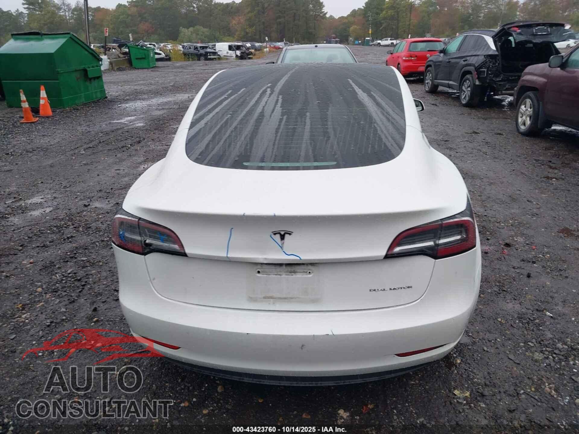 TESLA MODEL 3 2019 - 5YJ3E1EB2KF441860