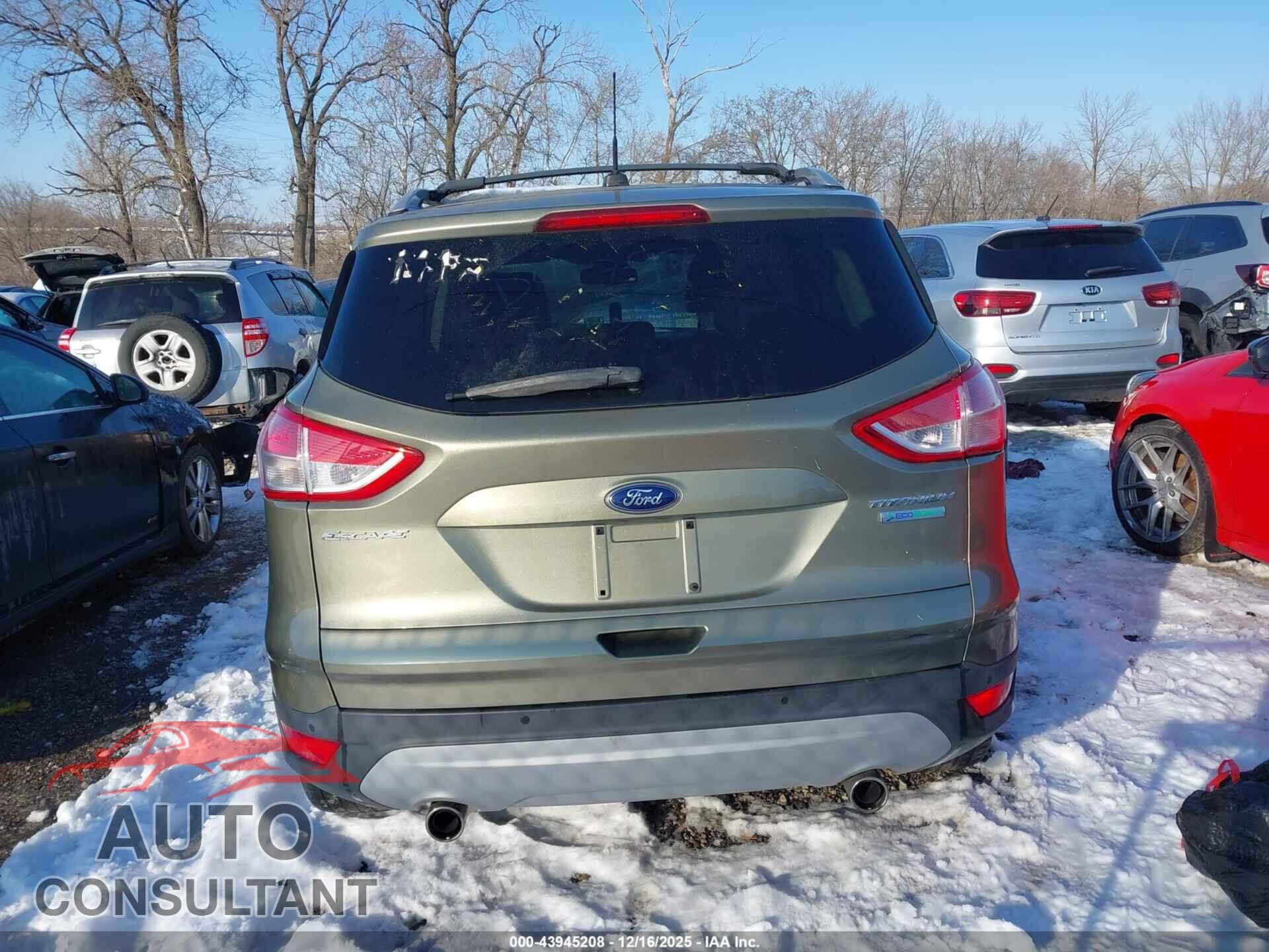 FORD ESCAPE 2013 - 1FMCU0J96DUD41797
