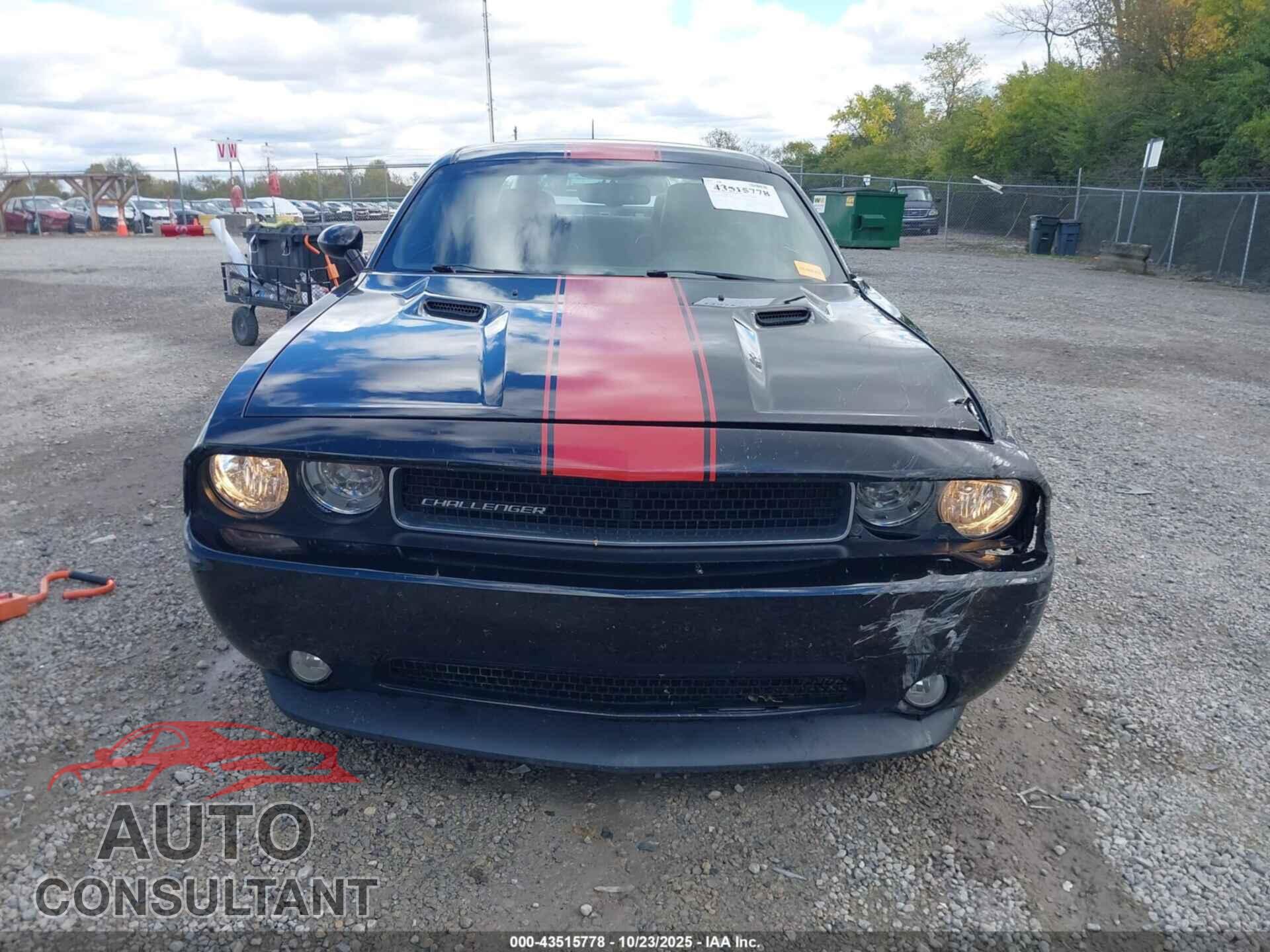 DODGE CHALLENGER 2013 - 2C3CDYAG2DH724886
