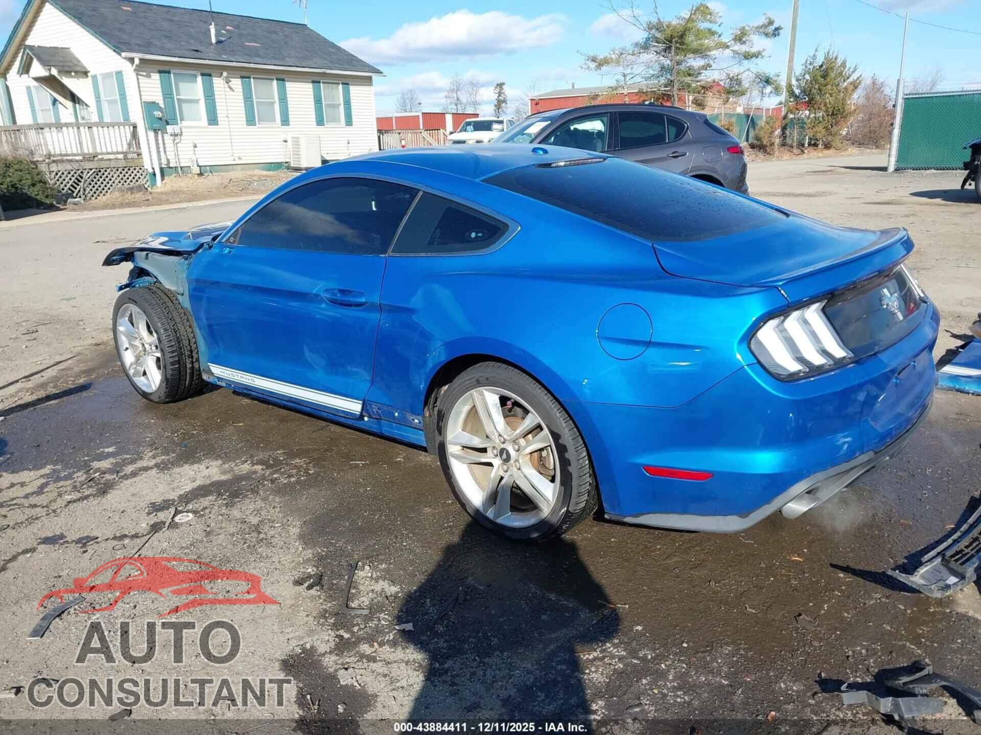 FORD MUSTANG 2019 - 1FA6P8TH3K5114494