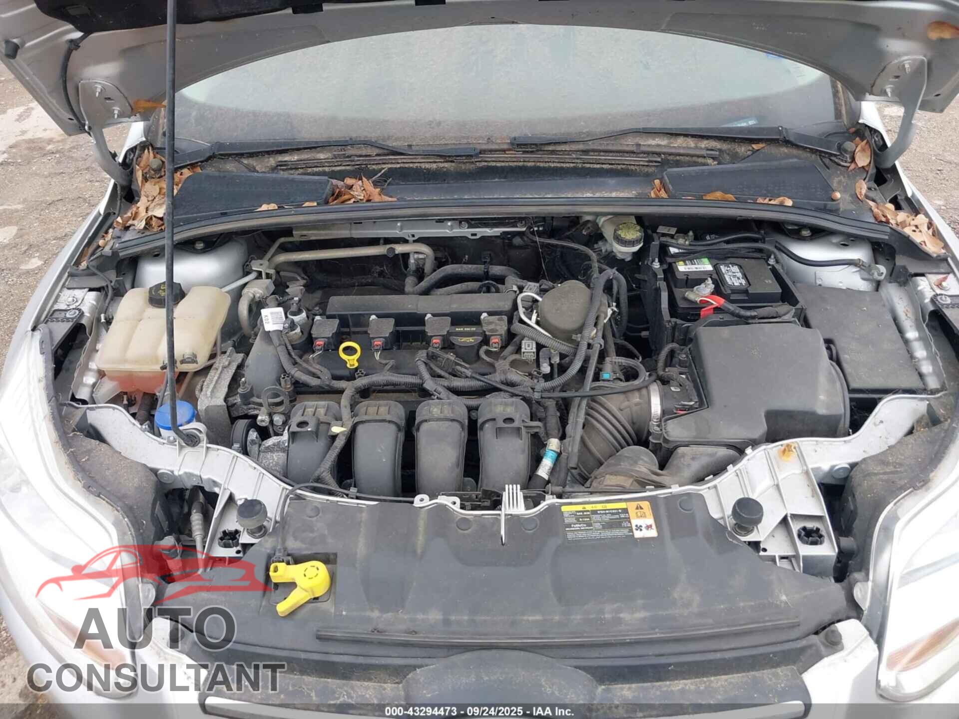 FORD FOCUS 2014 - 1FADP3F21EL181404