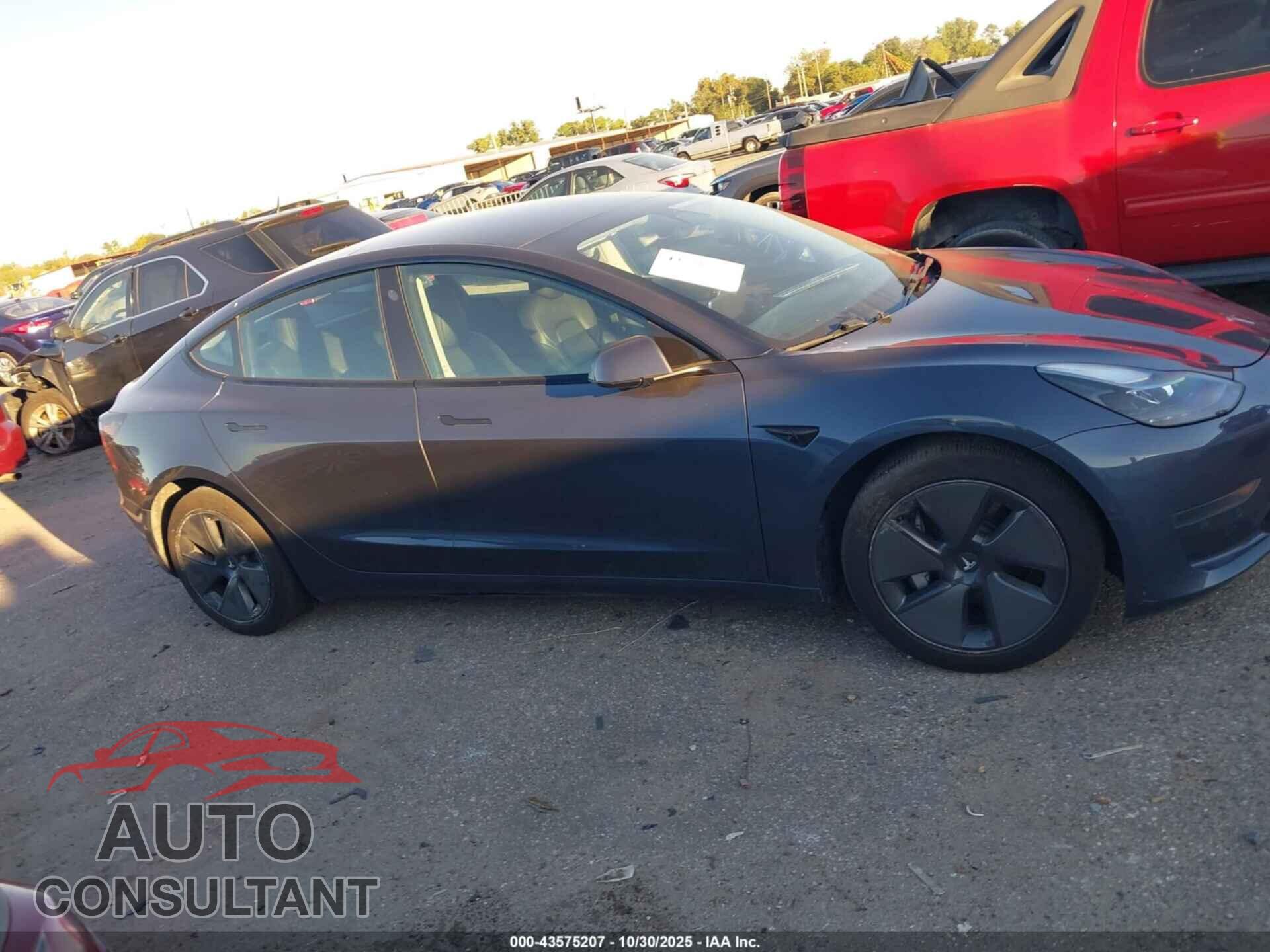 TESLA MODEL 3 2021 - 5YJ3E1EA5MF985635