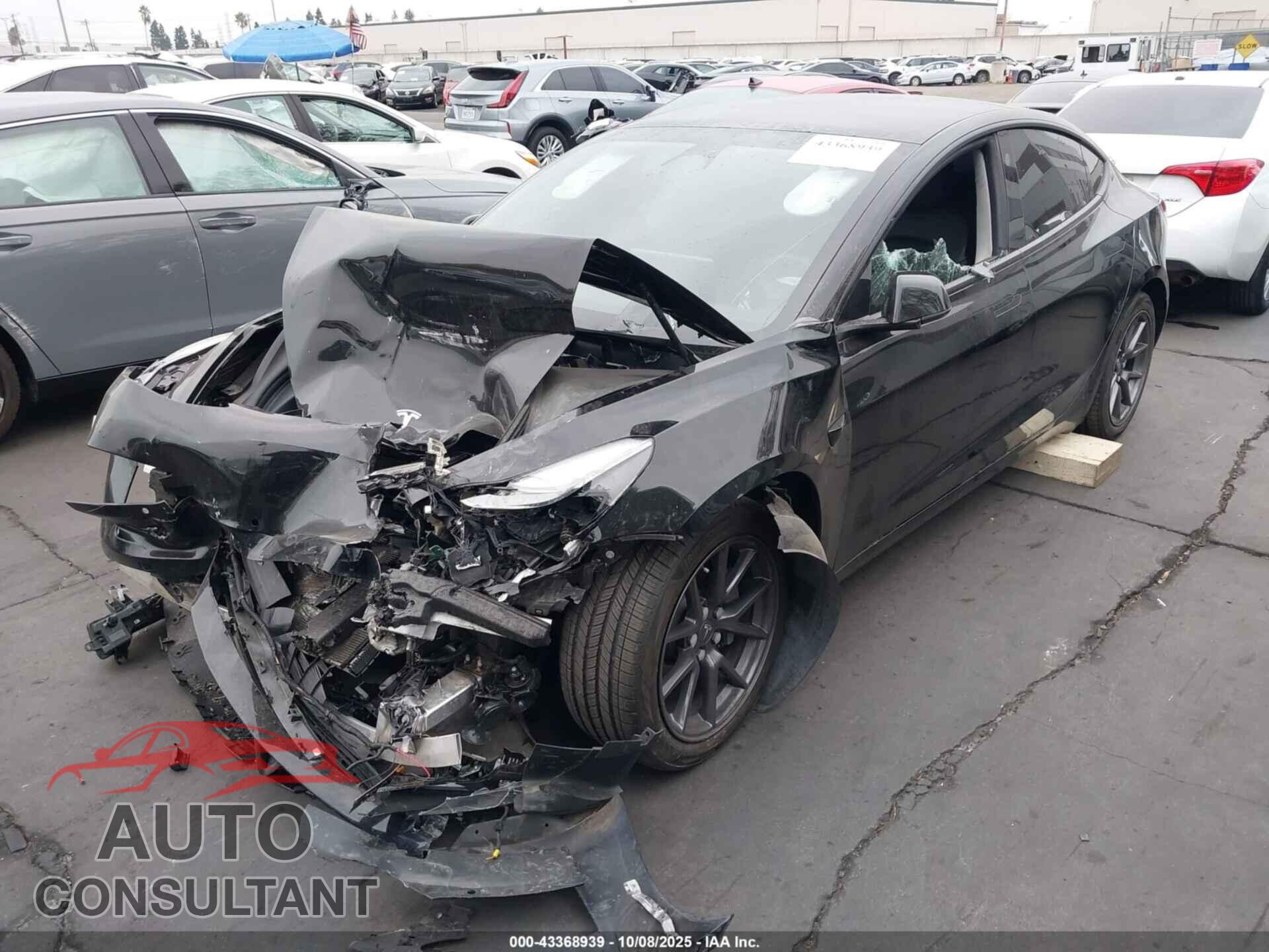 TESLA MODEL 3 2021 - 5YJ3E1EB7MF974564