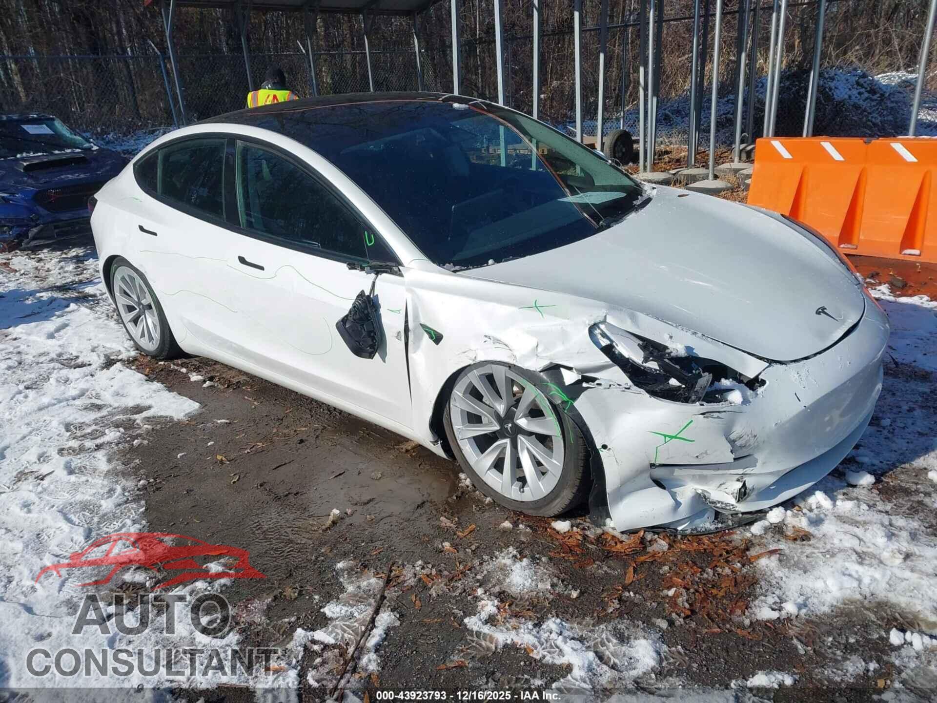 TESLA MODEL 3 2021 - 5YJ3E1EAXMF060011