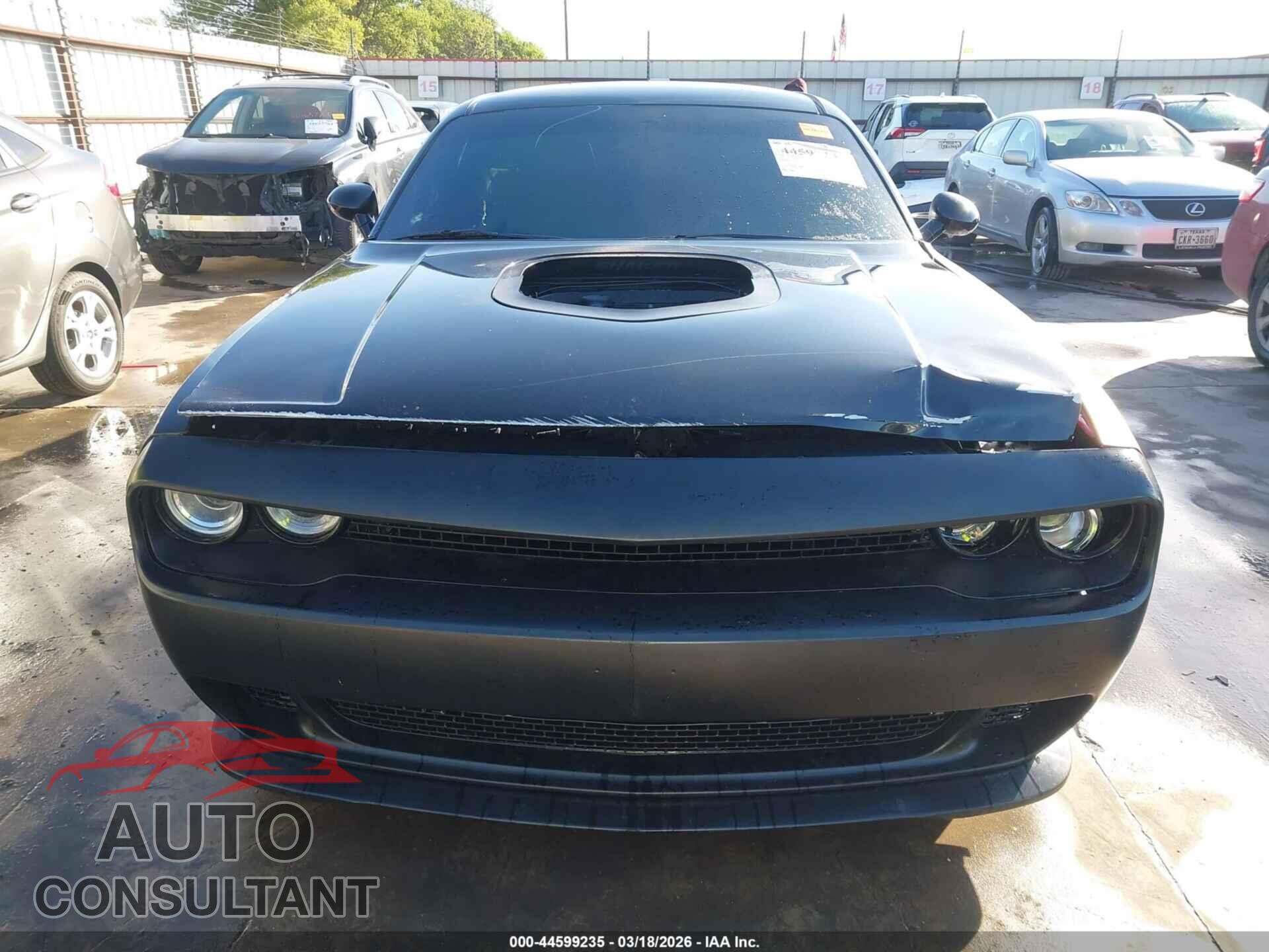 DODGE CHALLENGER 2017 - 2C3CDZFJ9HH613798