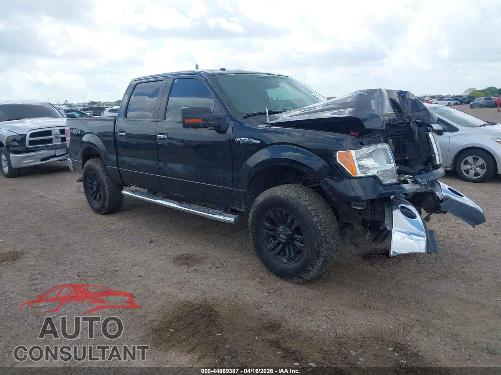 FORD F-150 2010 - 1FTEW1E83AFD54795