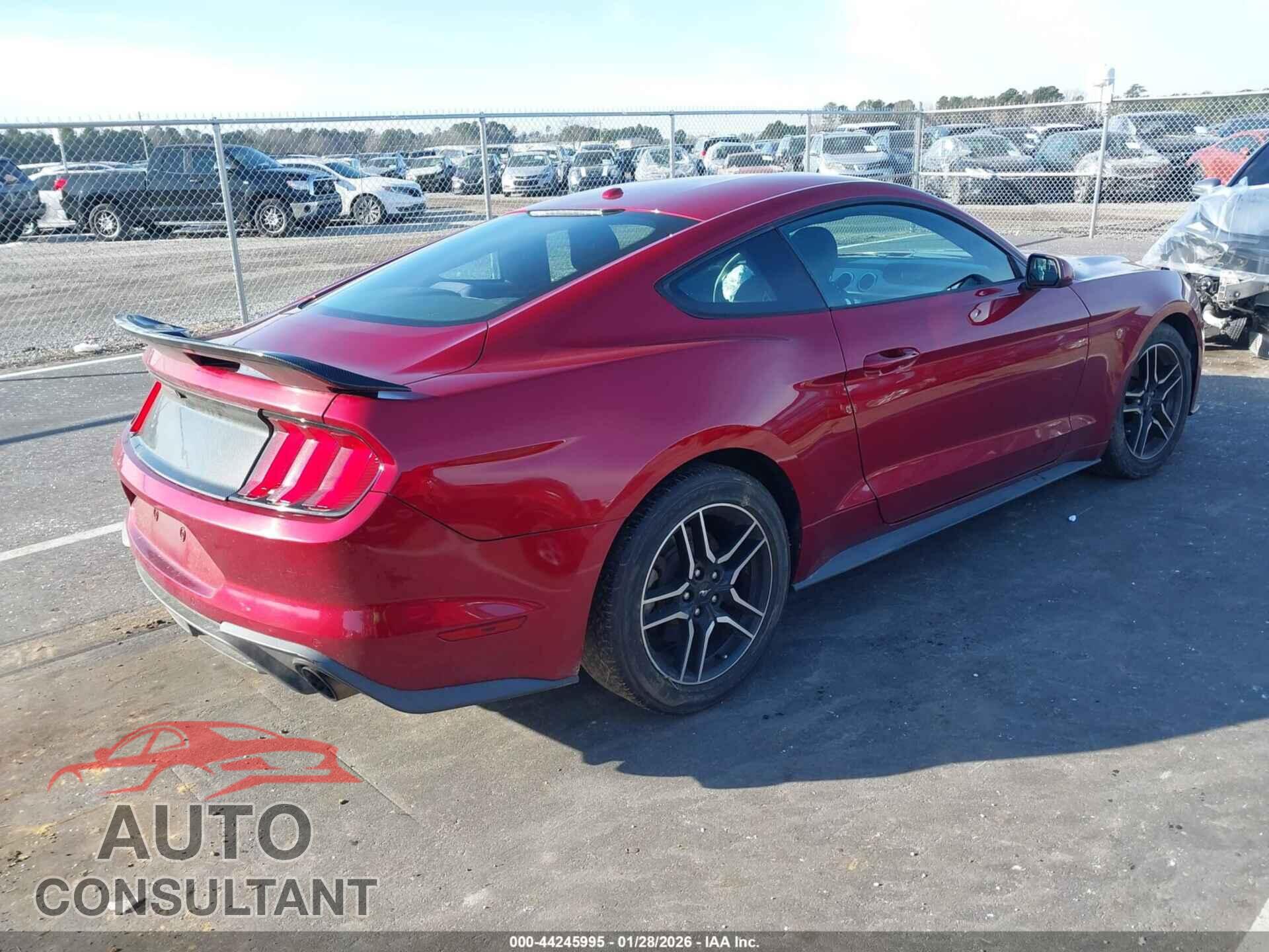 FORD MUSTANG 2019 - 1FA6P8TH3K5185100