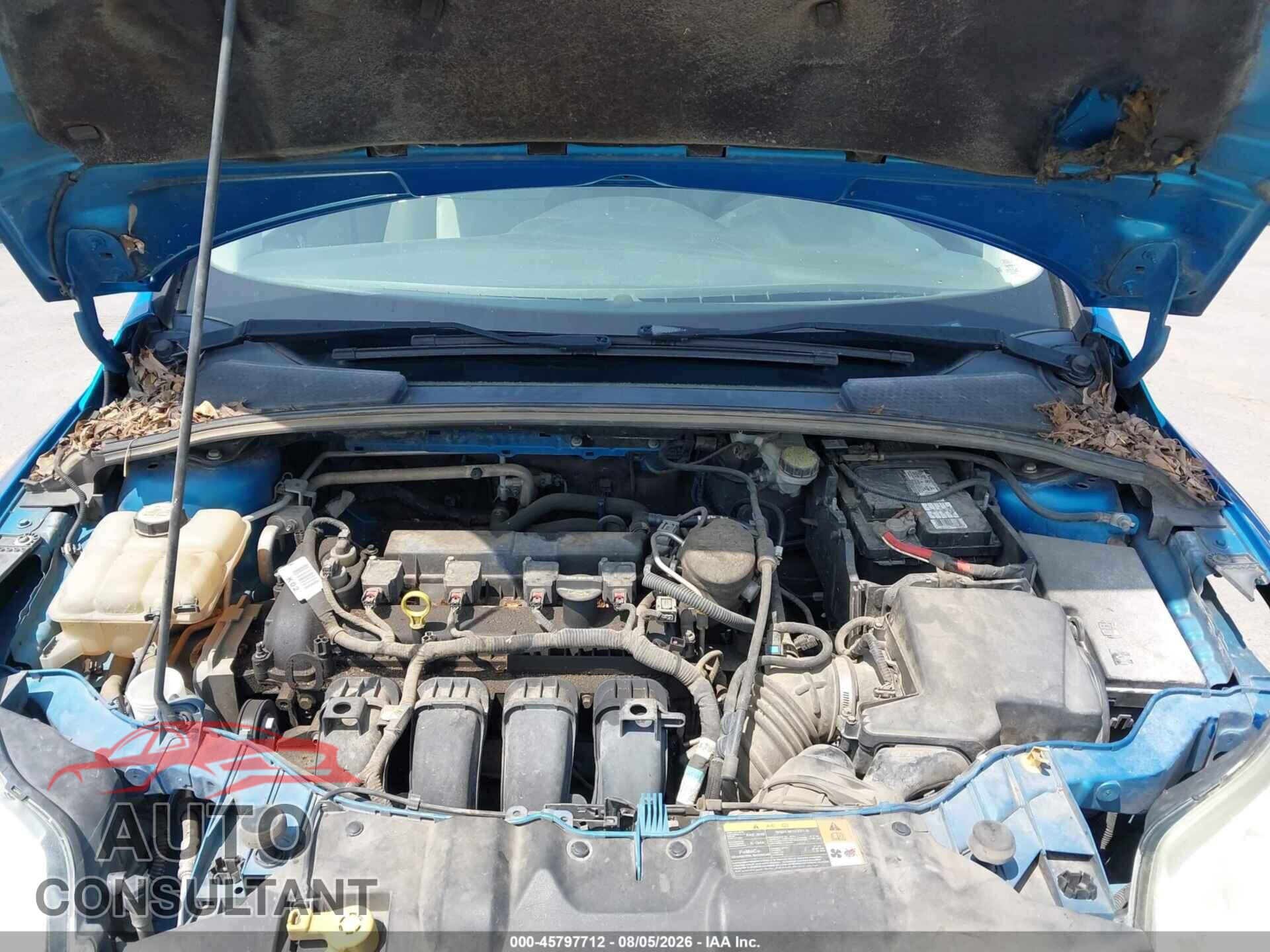 FORD FOCUS 2013 - 1FADP3F26DL137901