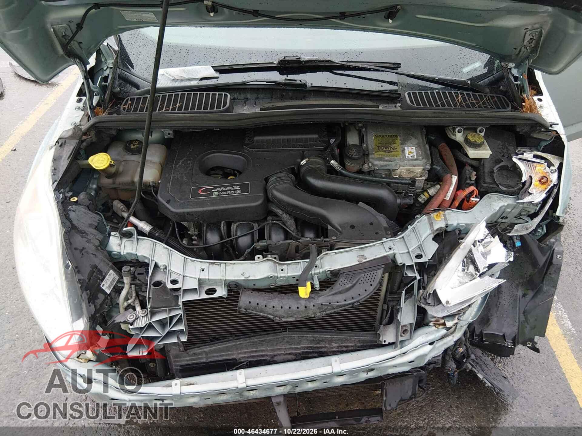 FORD C-MAX 2014 - 1FADP5CUXEL513275