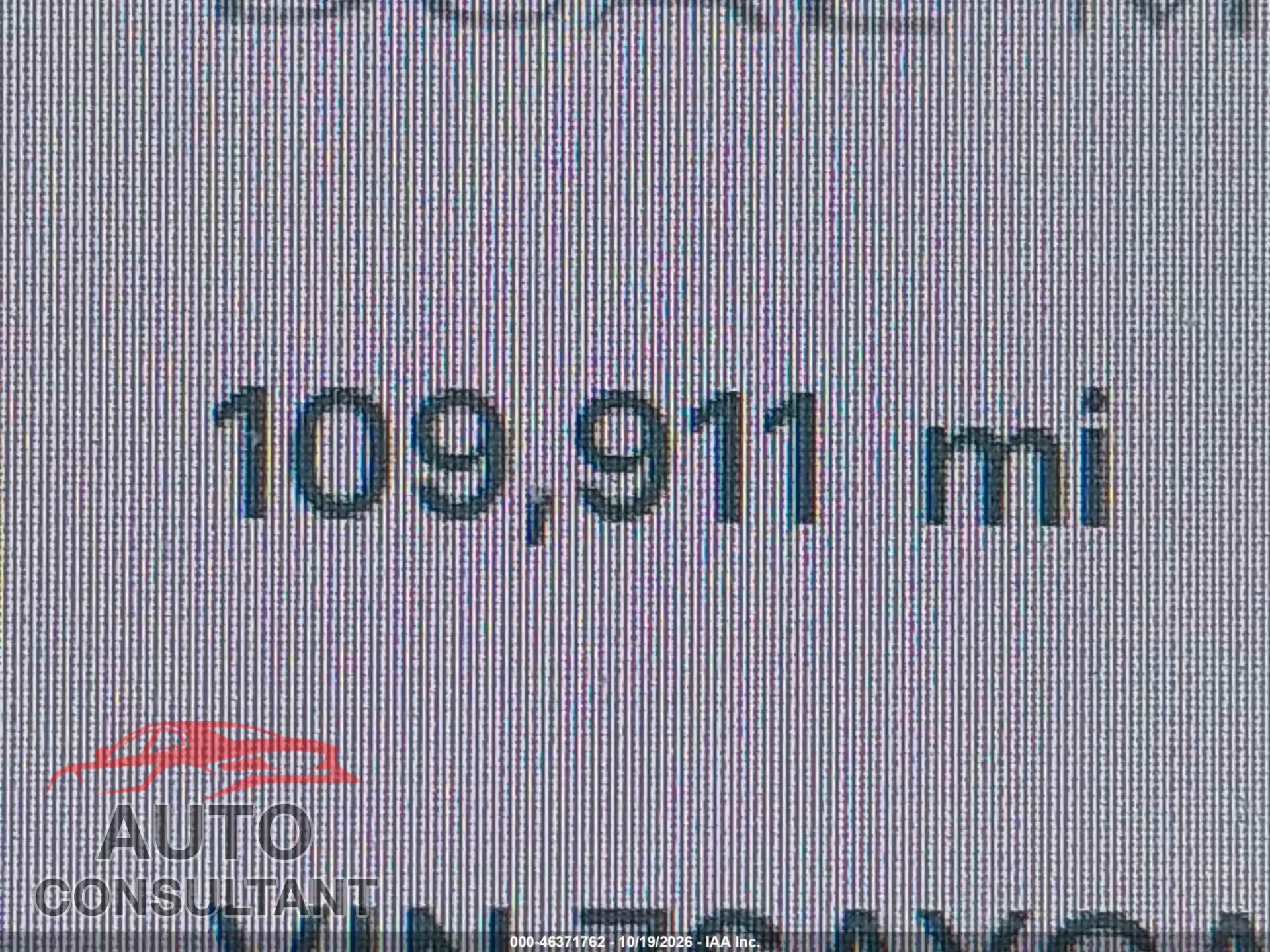 TESLA MODEL Y 2024 - 7SAYGAEE3RF121633