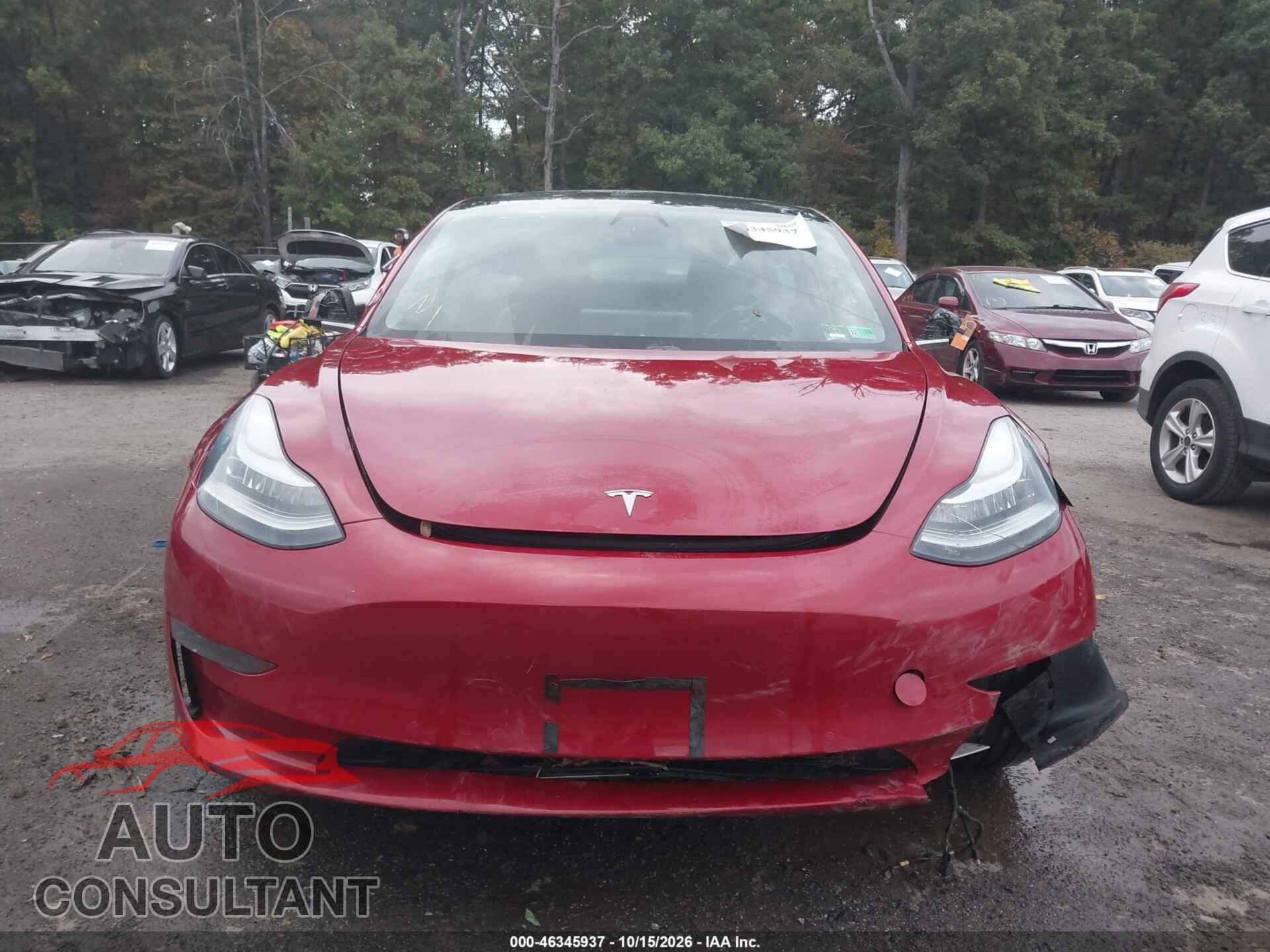 TESLA MODEL 3 2019 - 5YJ3E1EB0KF442442