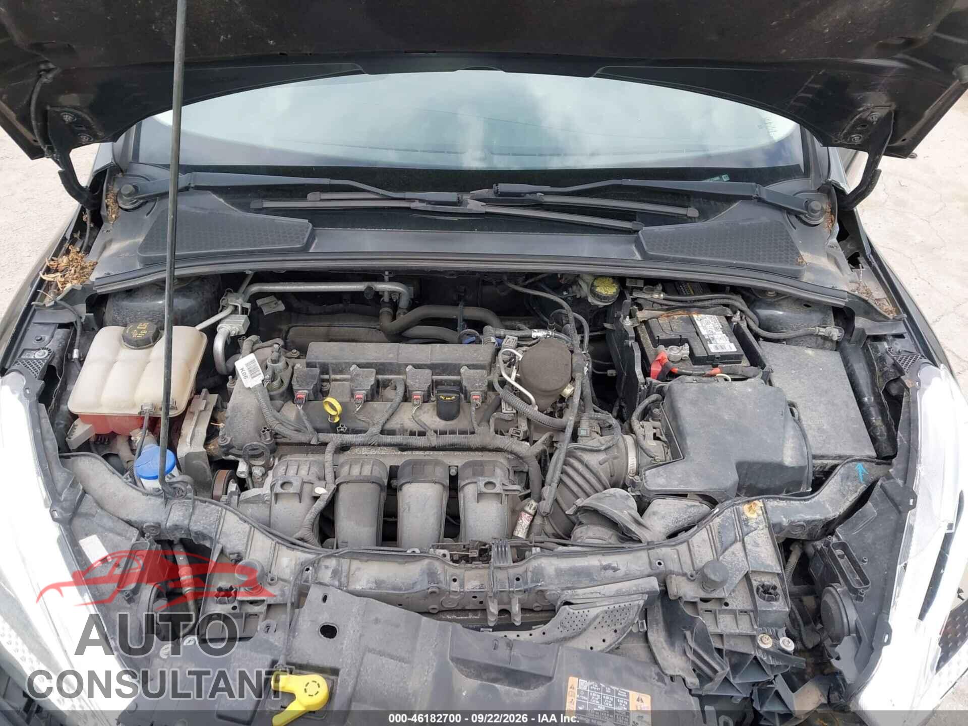 FORD FOCUS 2015 - 1FADP3F24FL216695