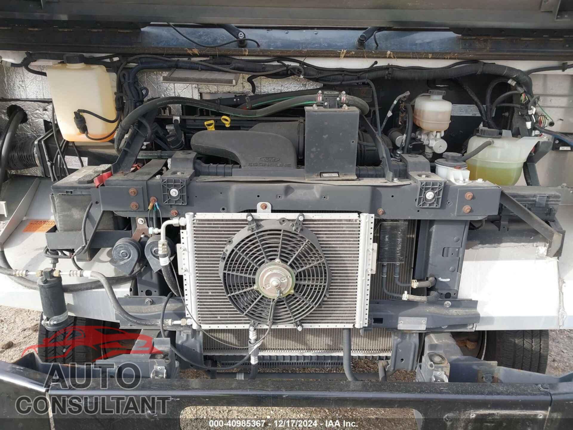 FORD E-450 STRIPPED 2019 - 1FC3E4K67KDC48636