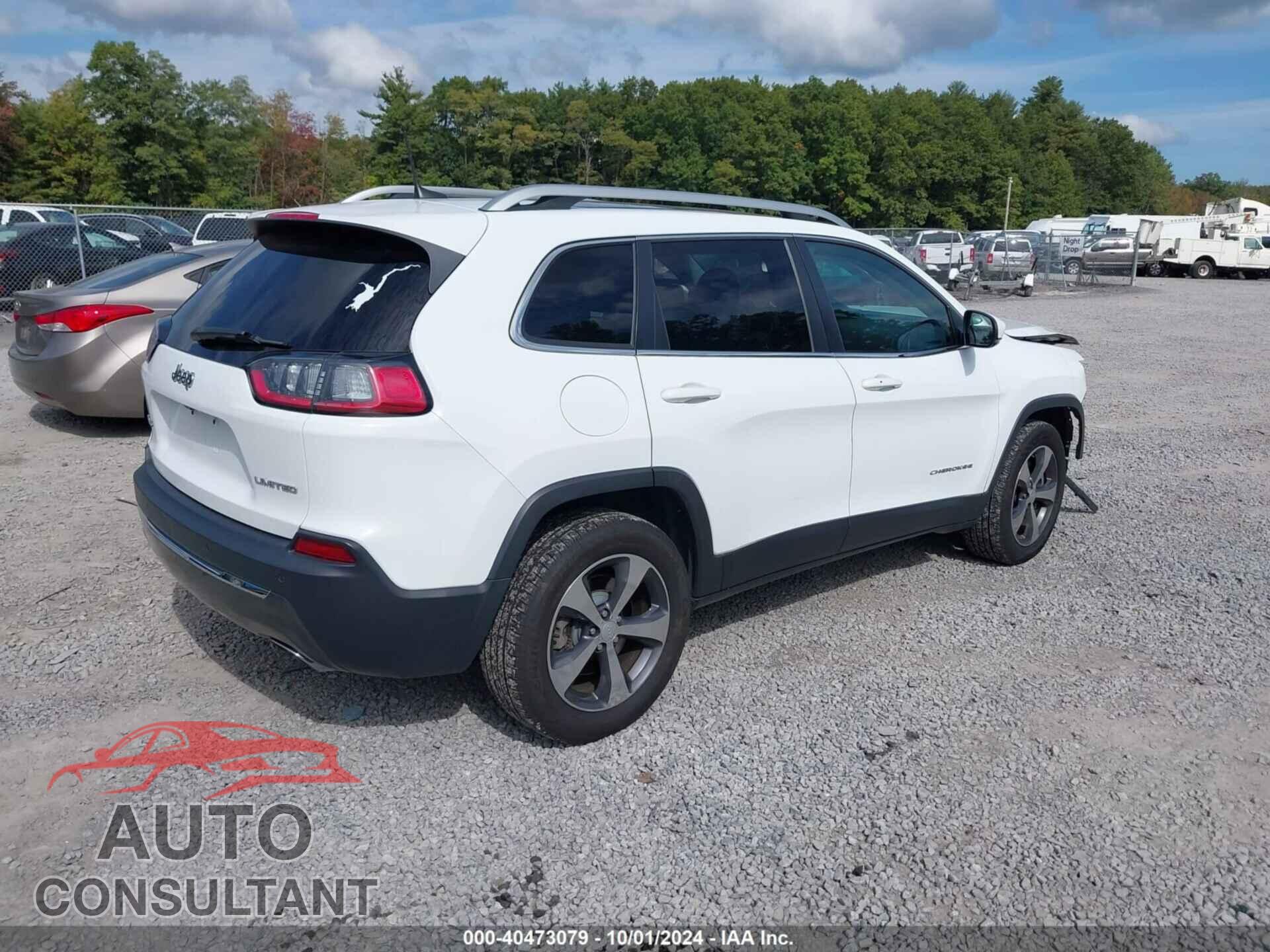 JEEP CHEROKEE 2019 - 1C4PJMDX2KD254184
